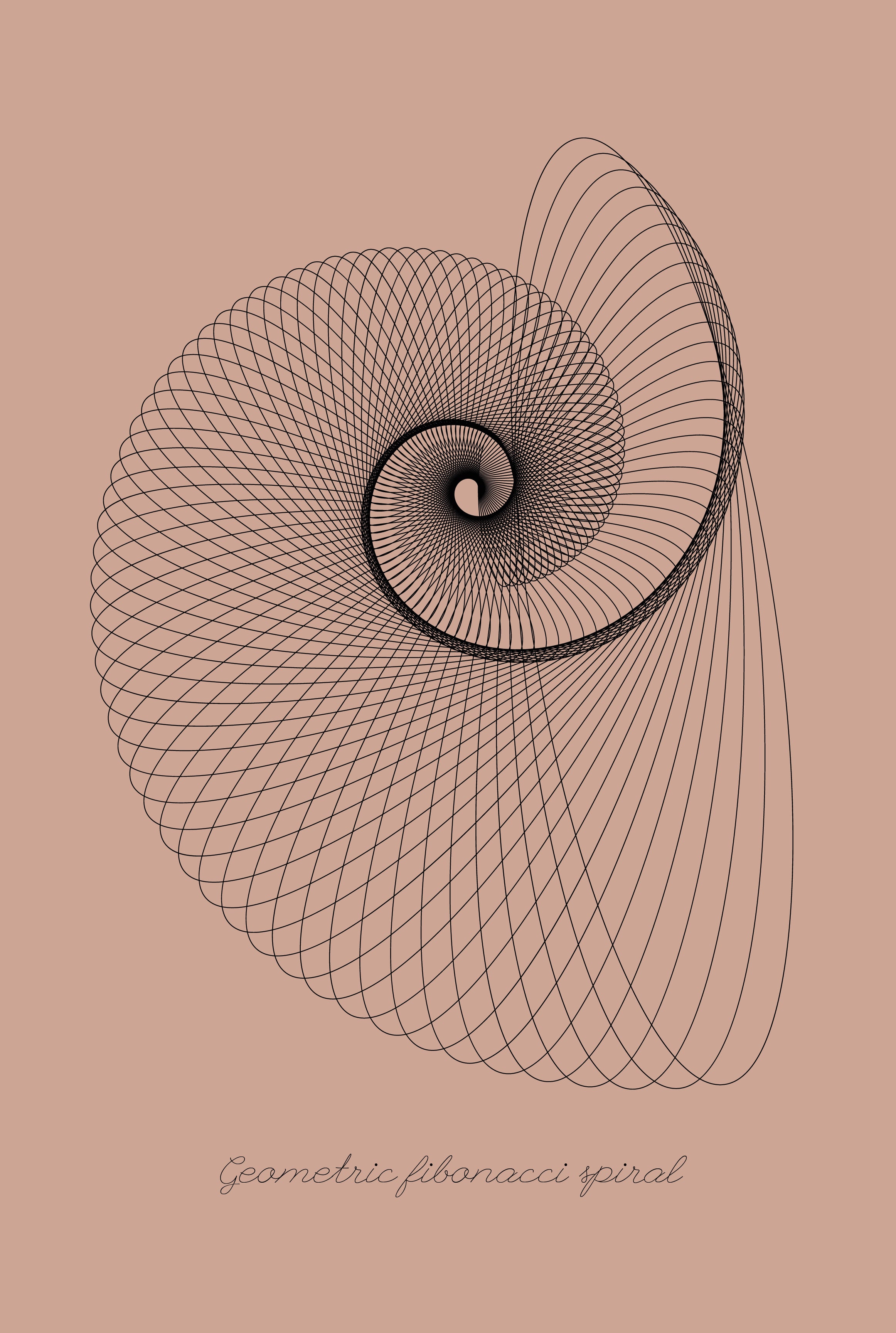 Geometric fibonacci spiral
