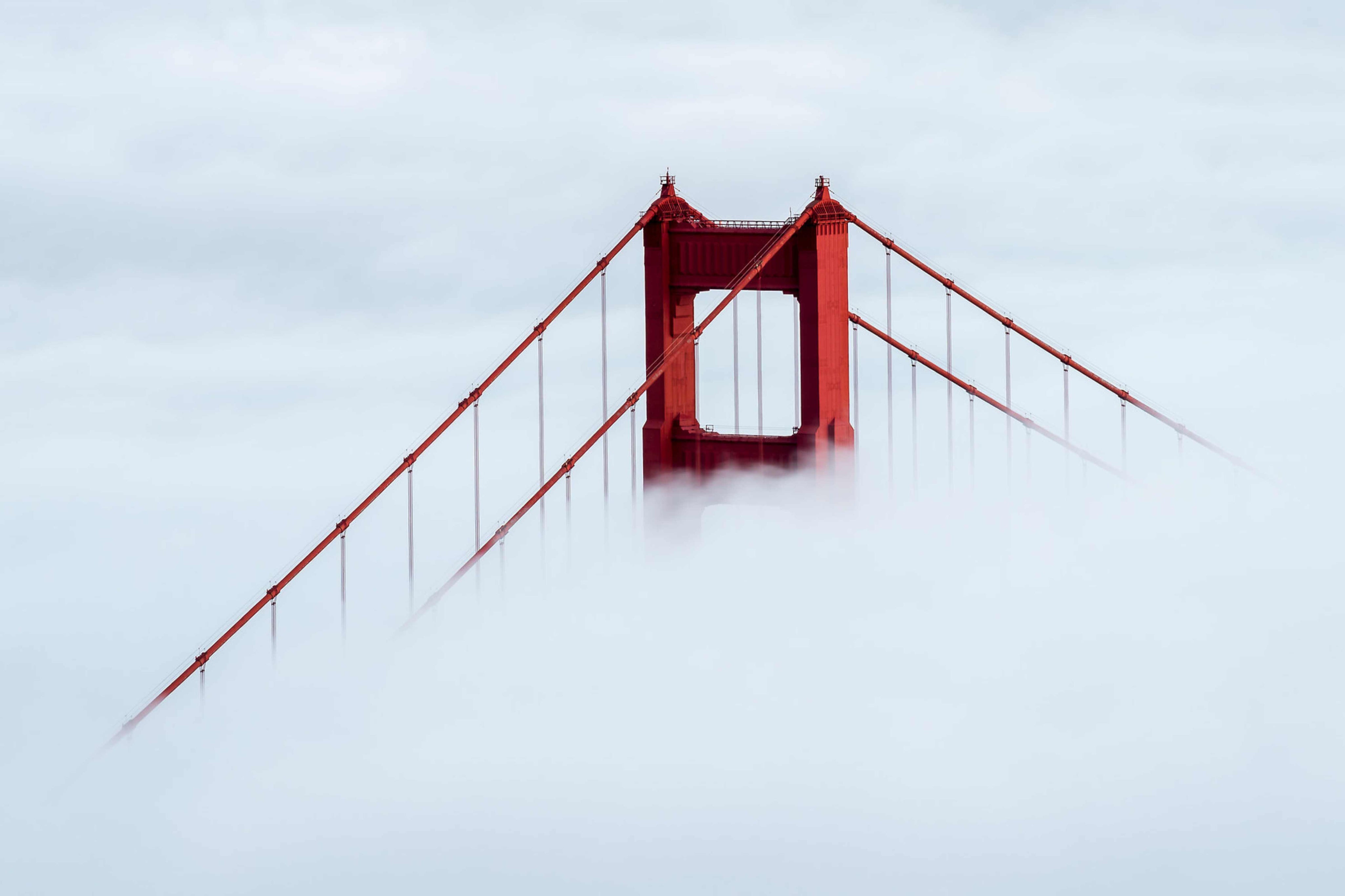 Golden Gate above the fog