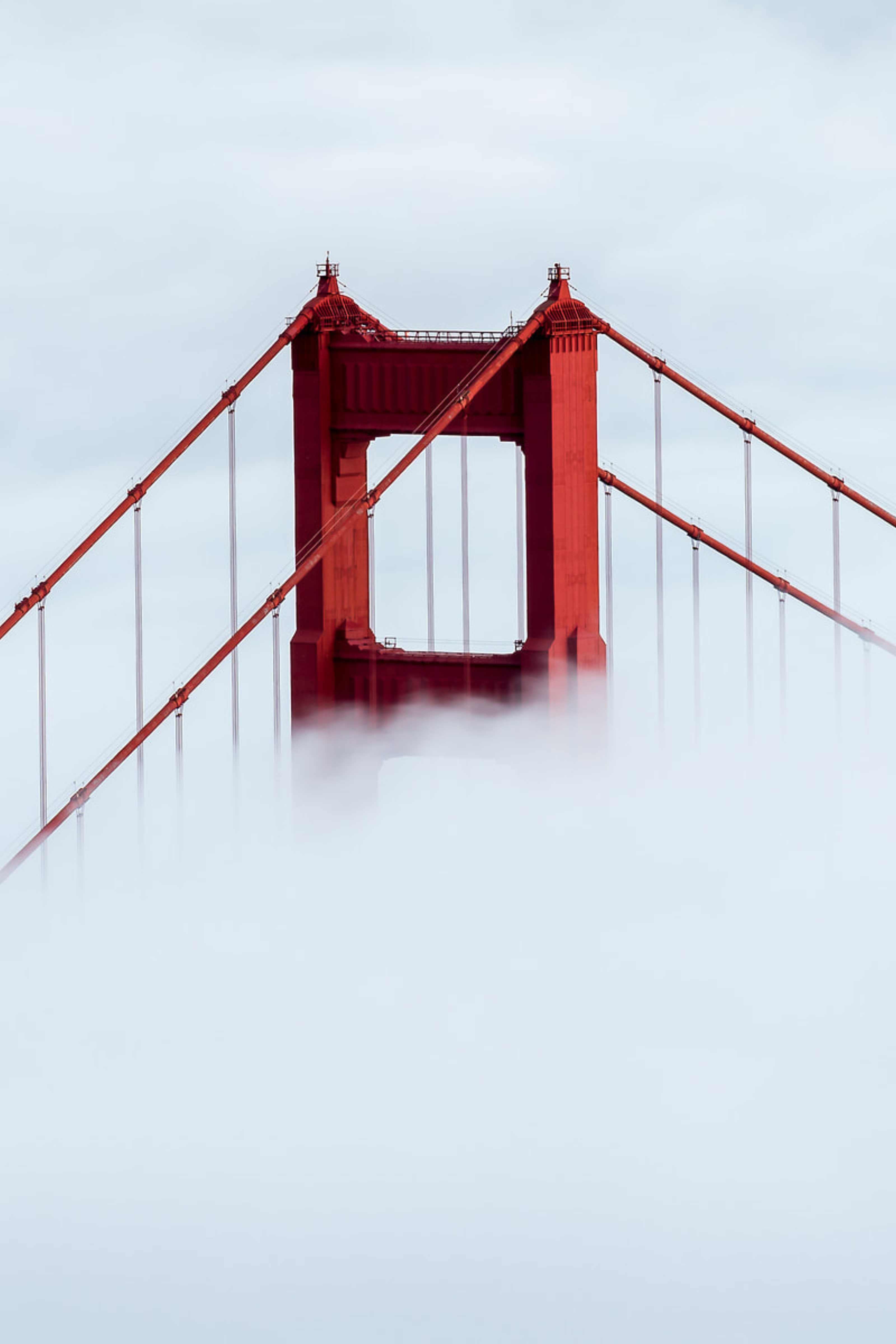 Golden Gate above the fog
