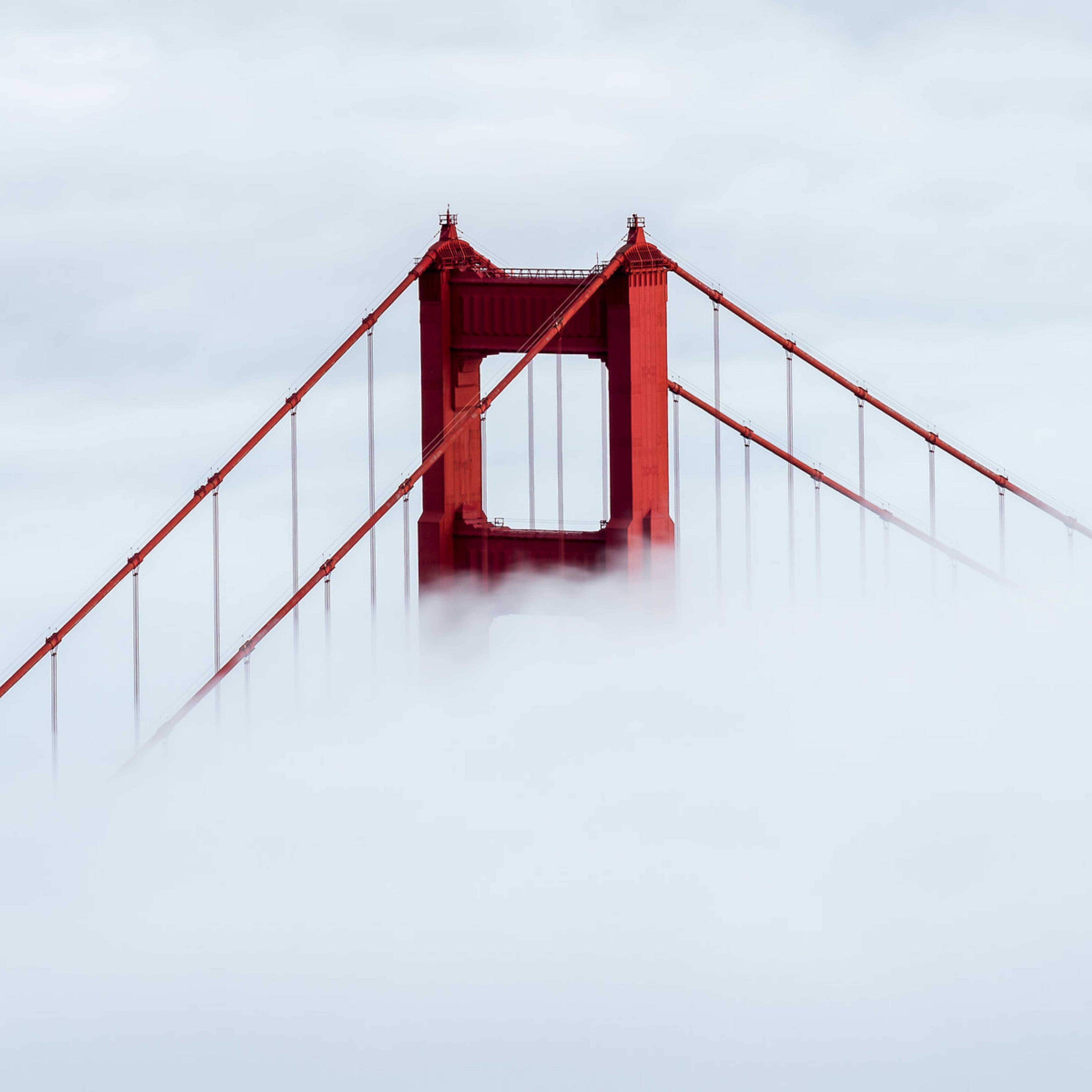 Golden Gate above the fog
