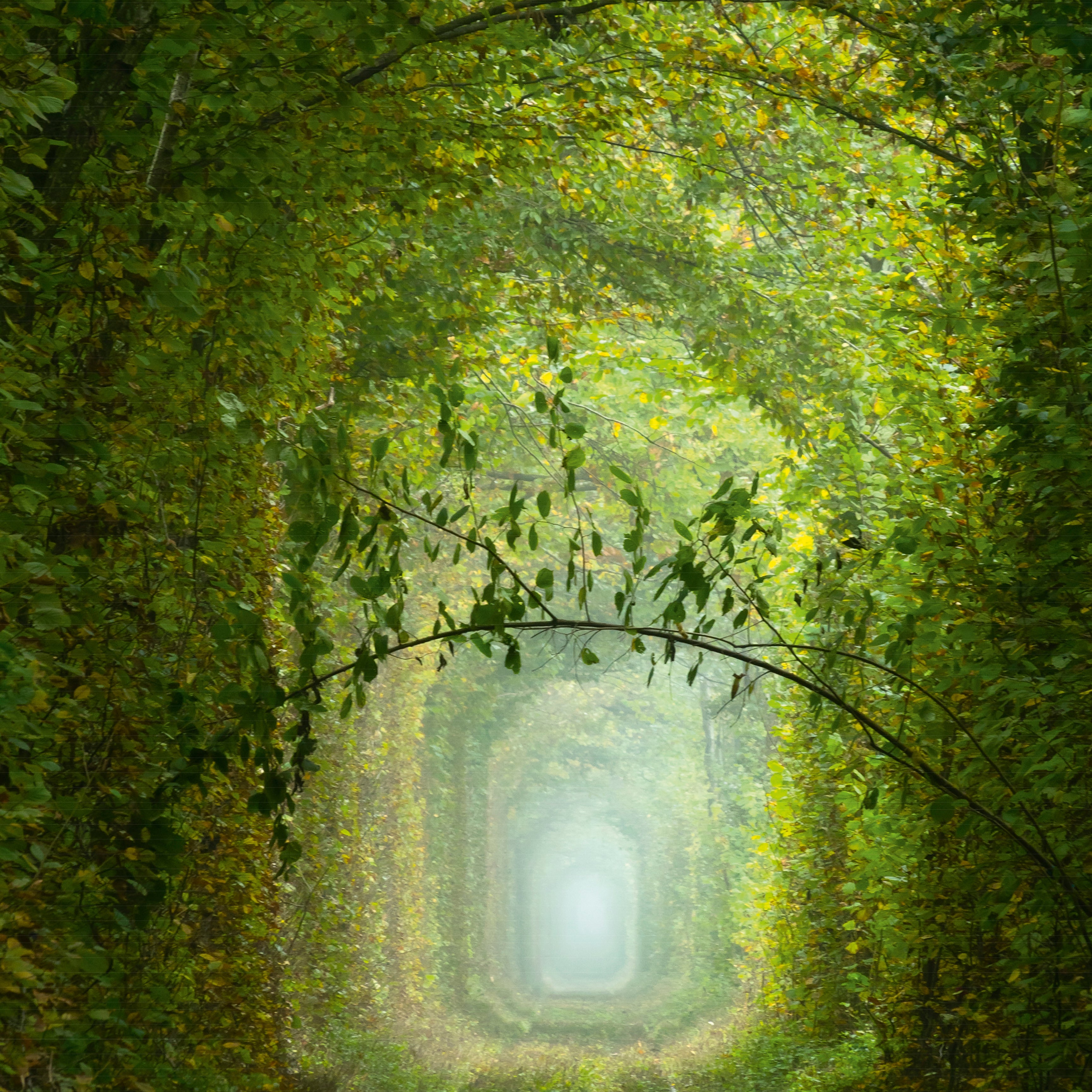 Greenway