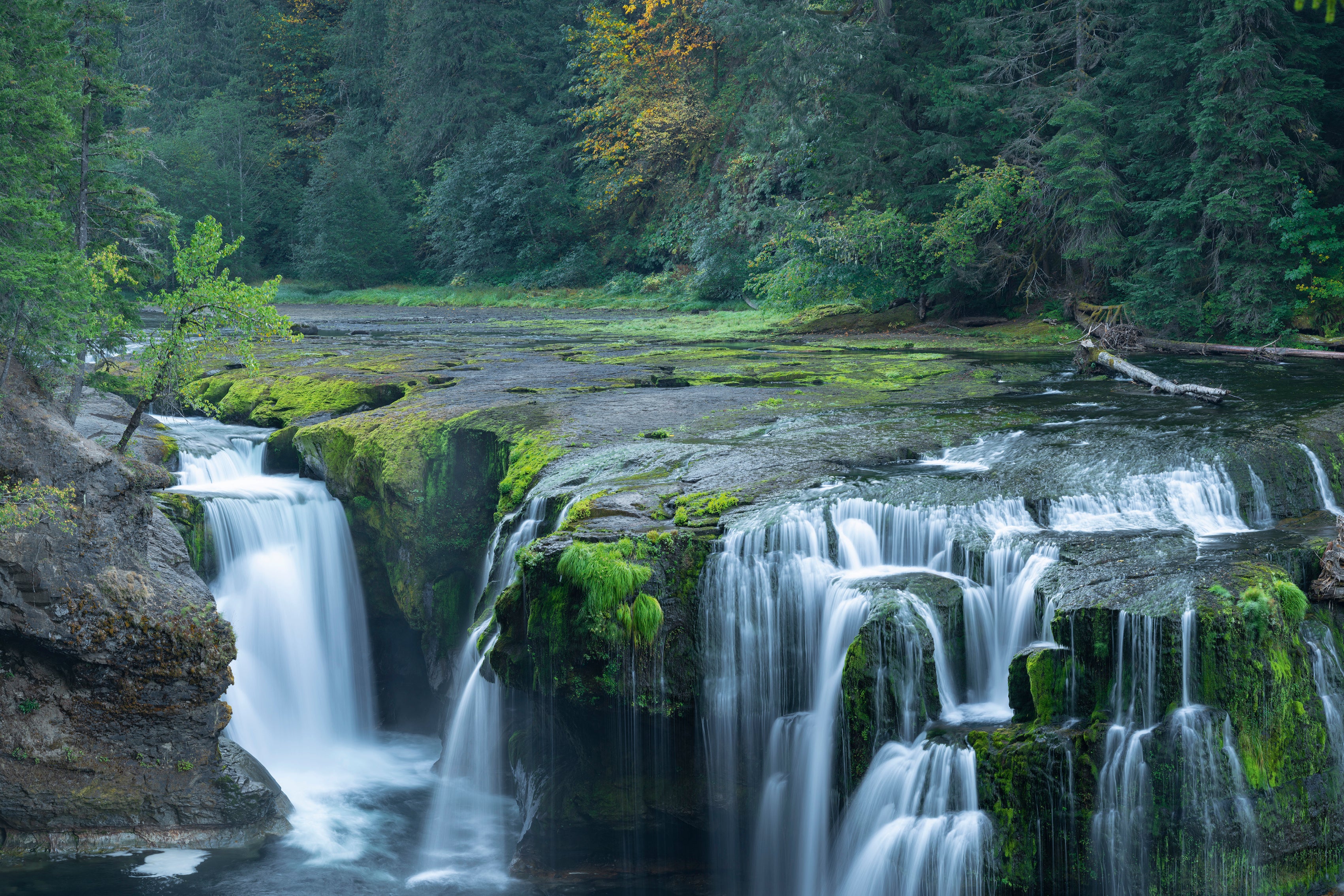 LowerLewisFalls-120x80cm.jpg