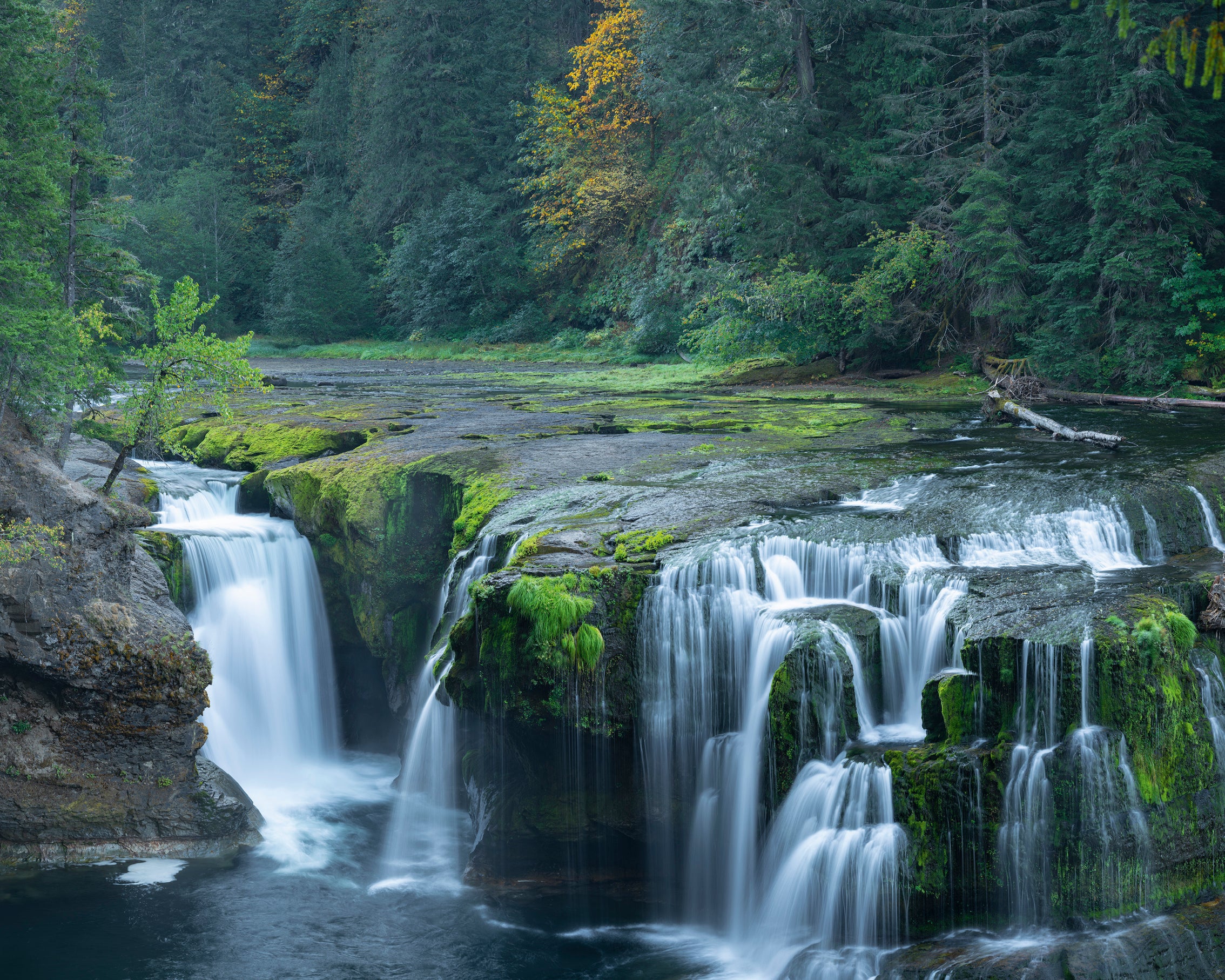 LowerLewisFalls-80x80cm.jpg