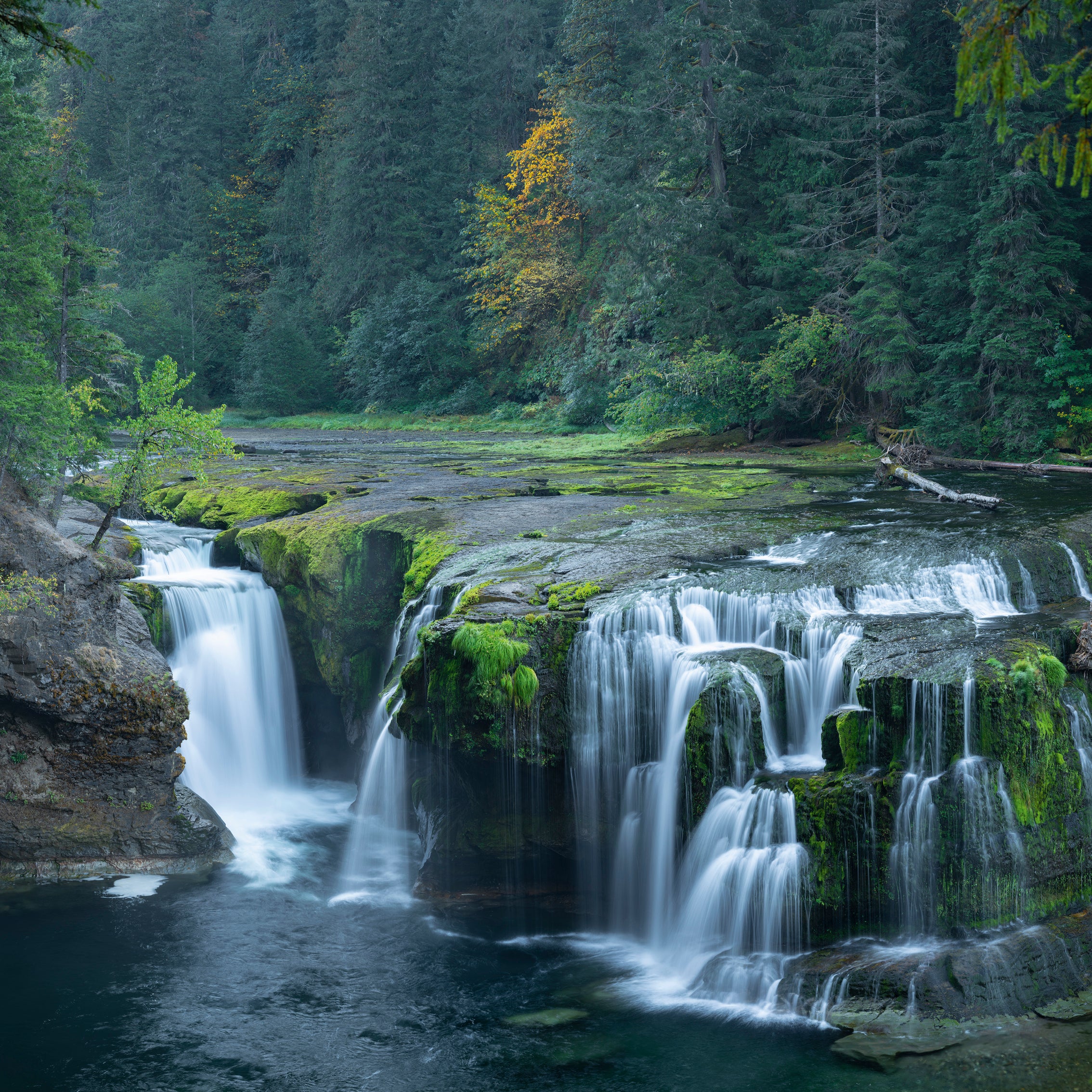 Lower Lewis Falls