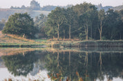 Mirrors of stillness