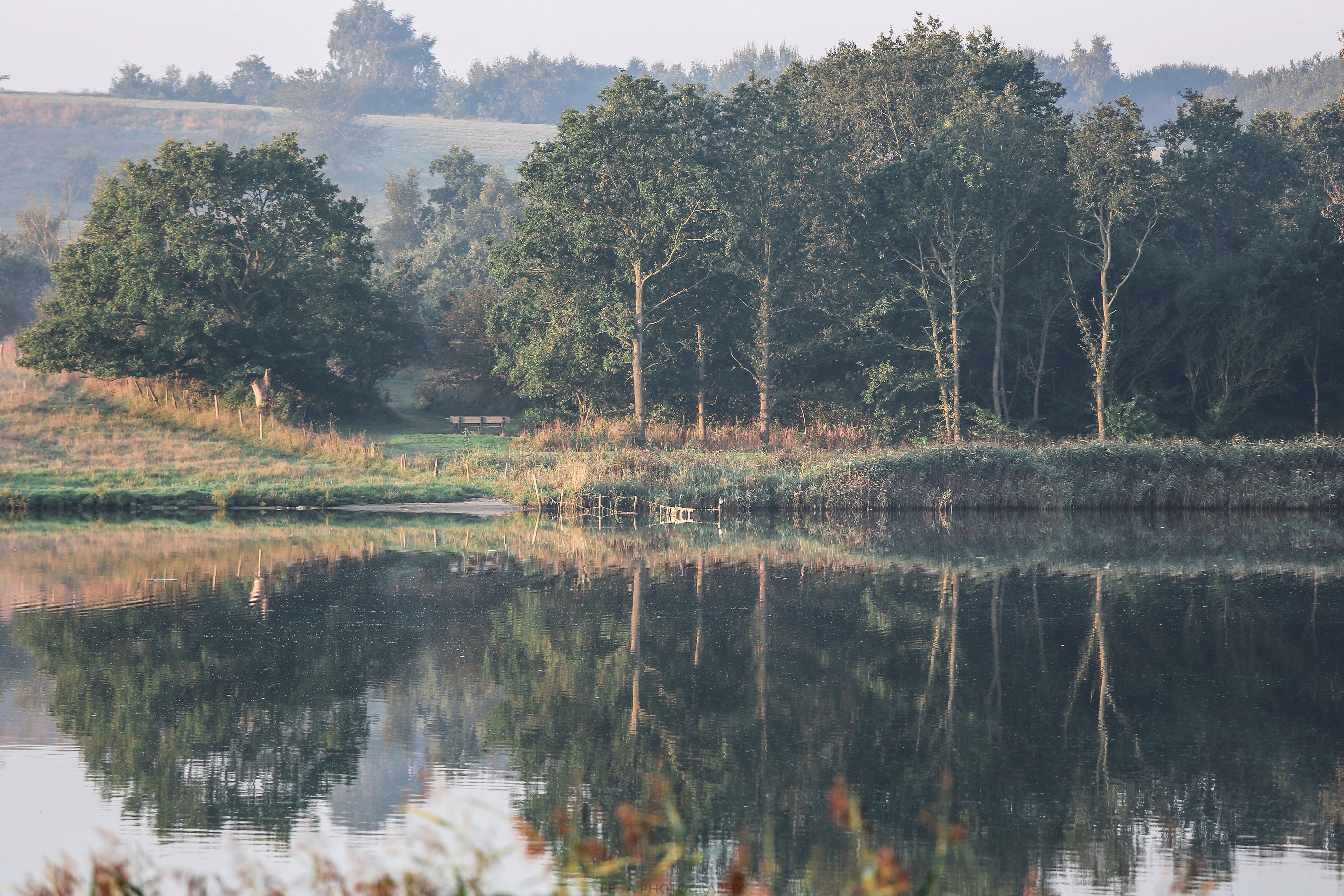 Mirrors of stillness