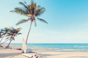 Palm framed quietude