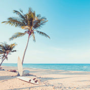 Palm framed quietude