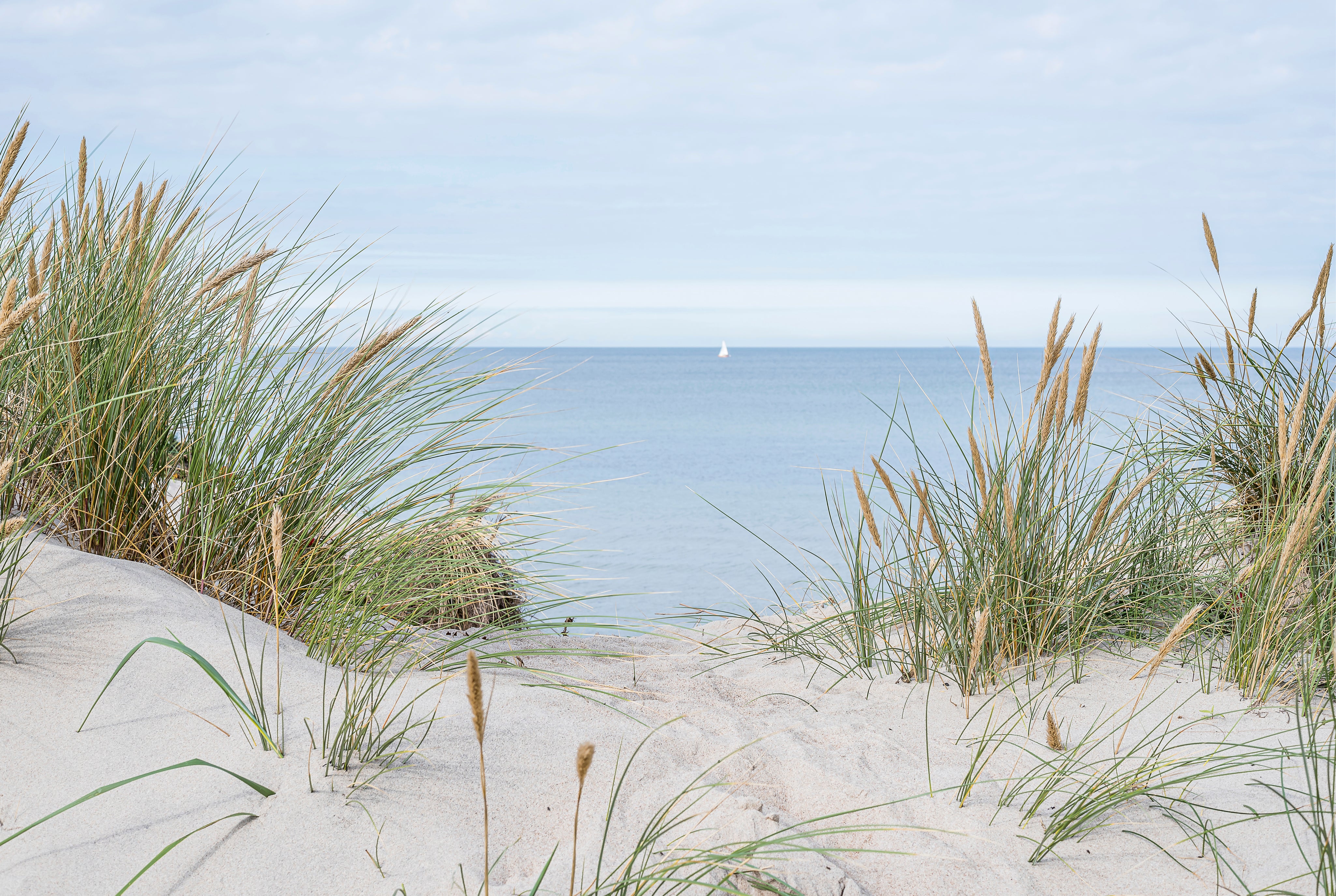 Sand and sea