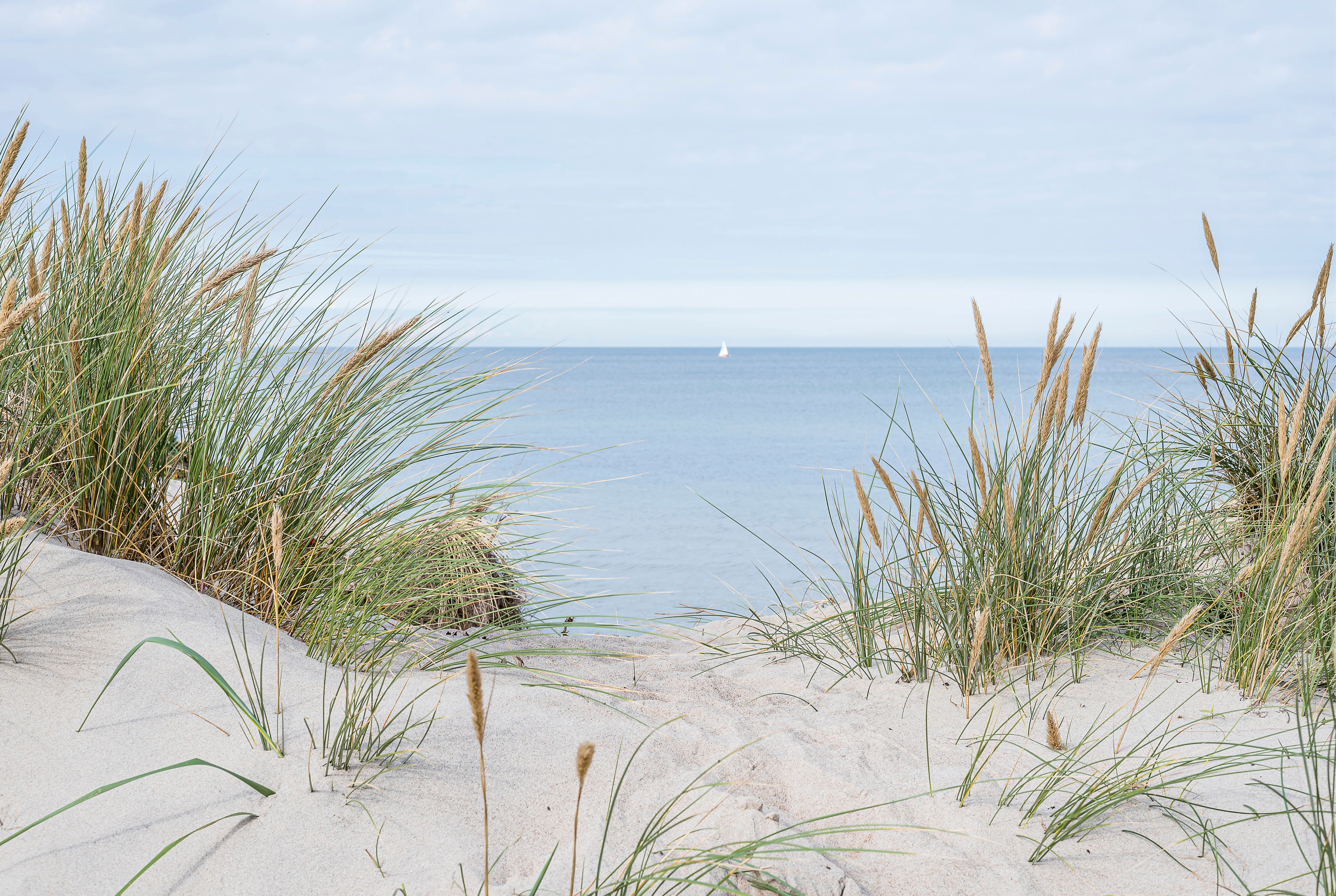 Sandandsea-150x100cm.jpg