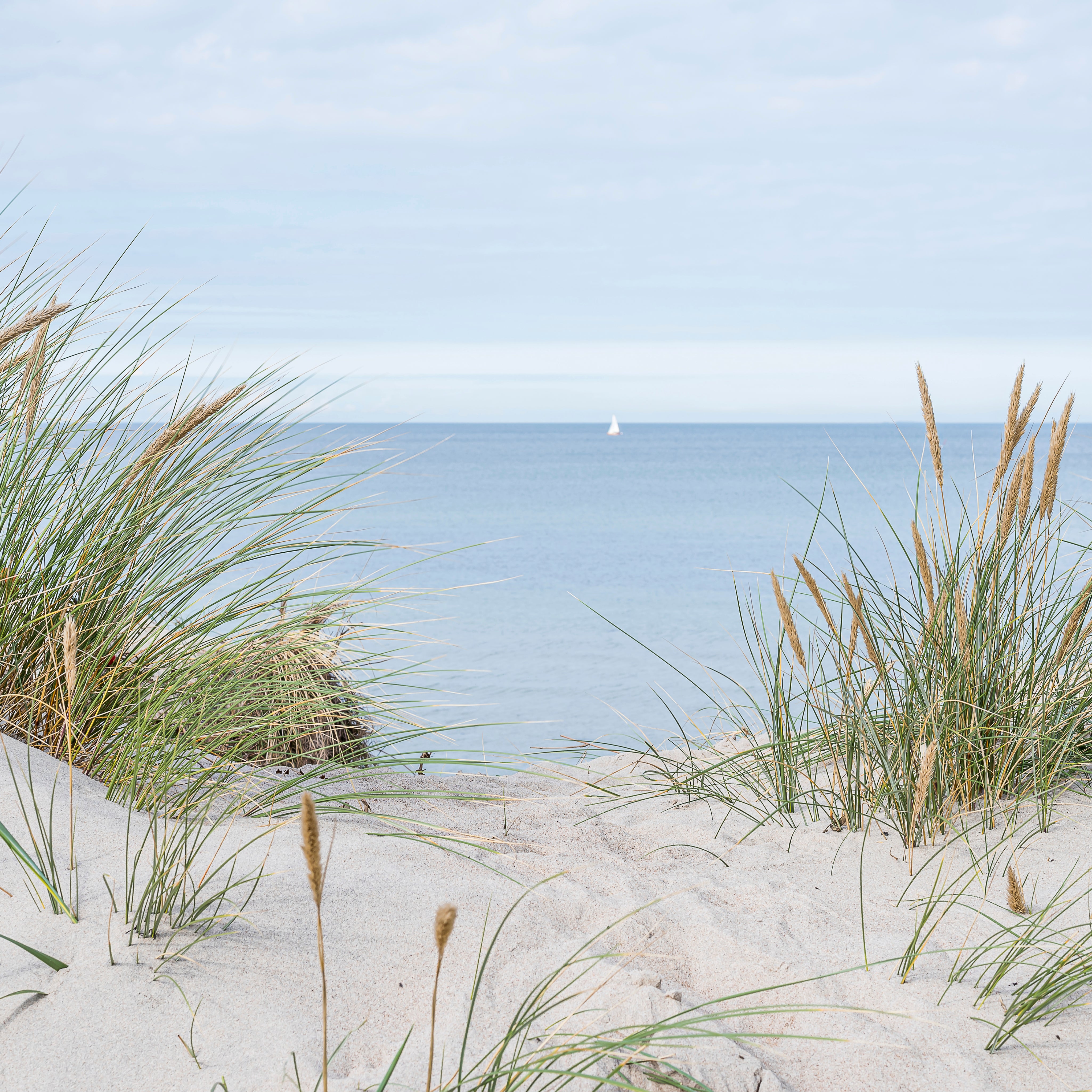 Sand and sea