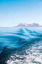 Sea pulse