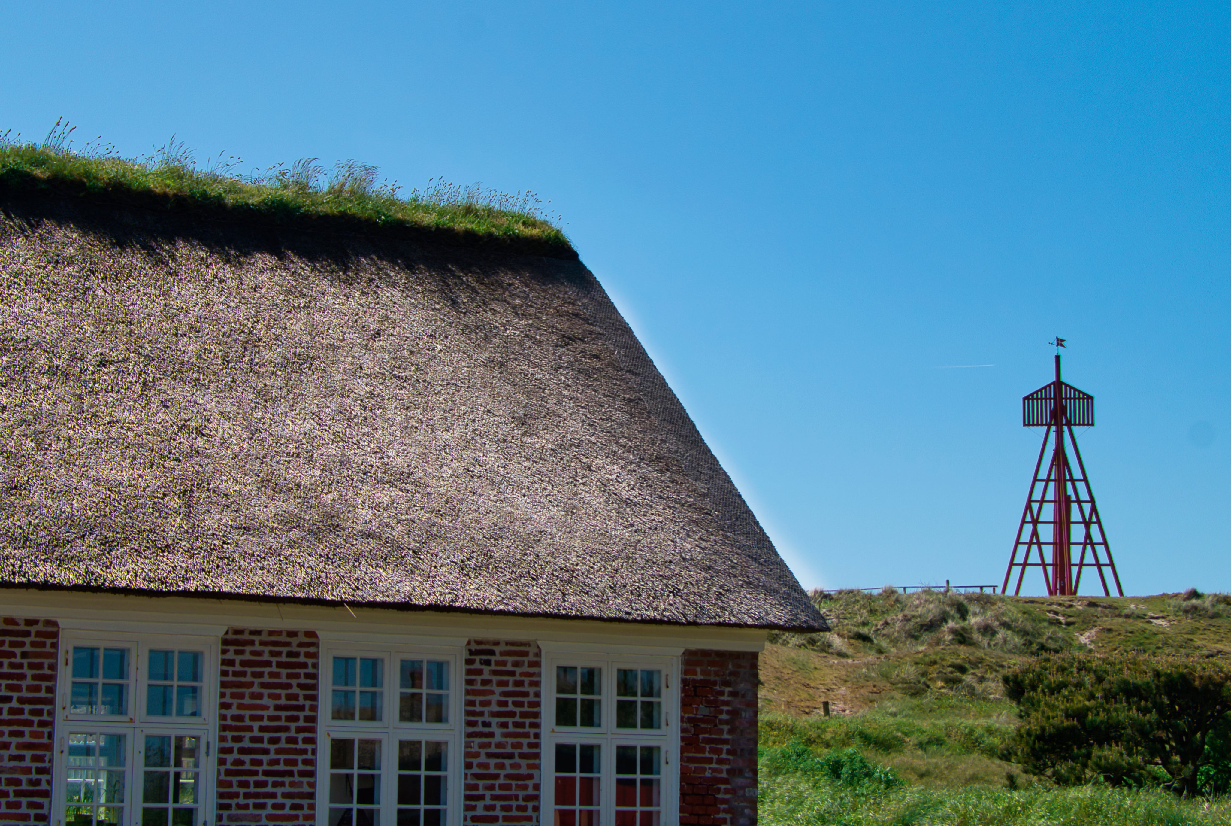 Seaside homestead