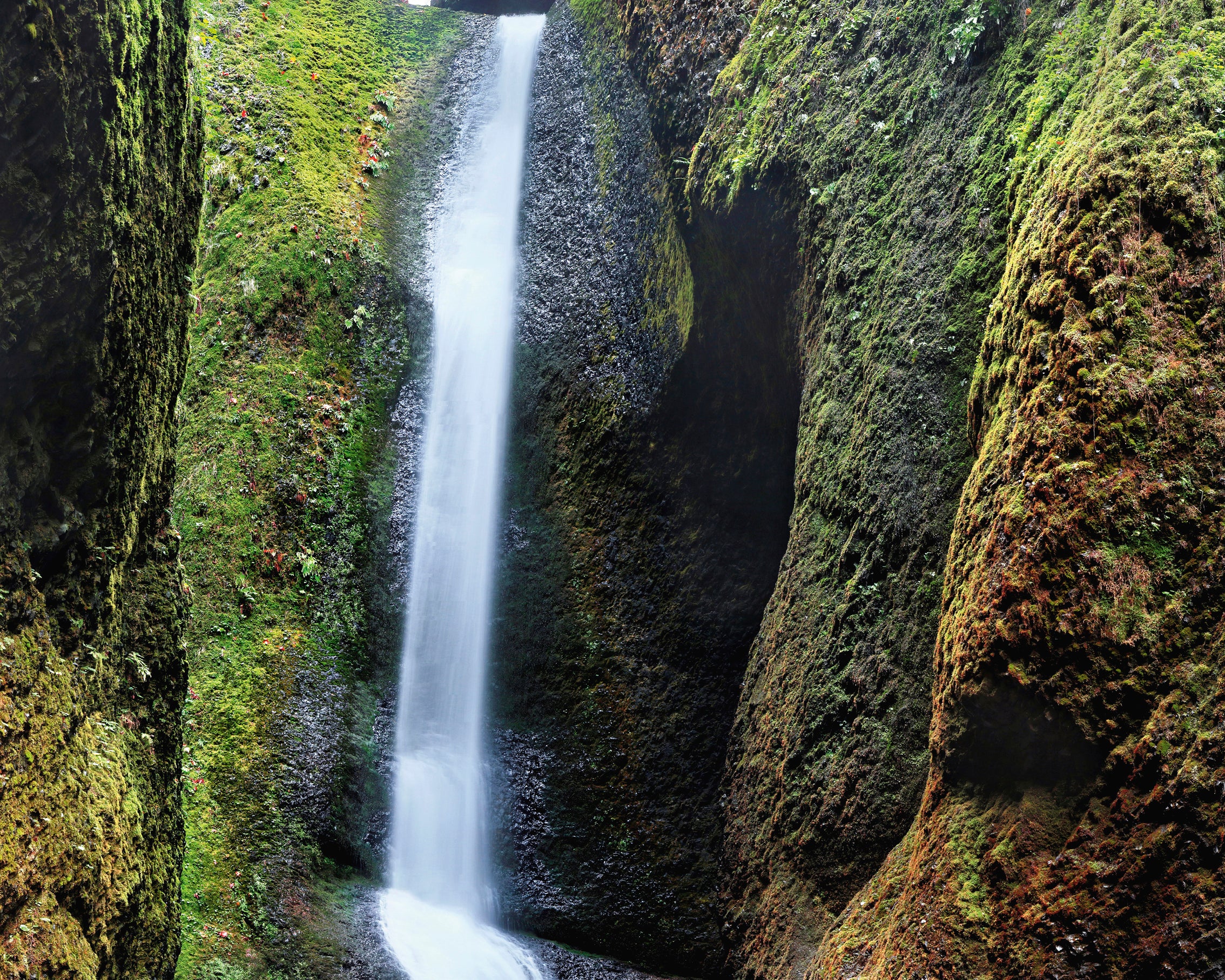 Secretfalls-80x120cm.jpg