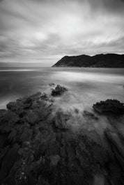 Shades of stillness