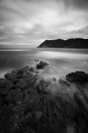 Shades of stillness