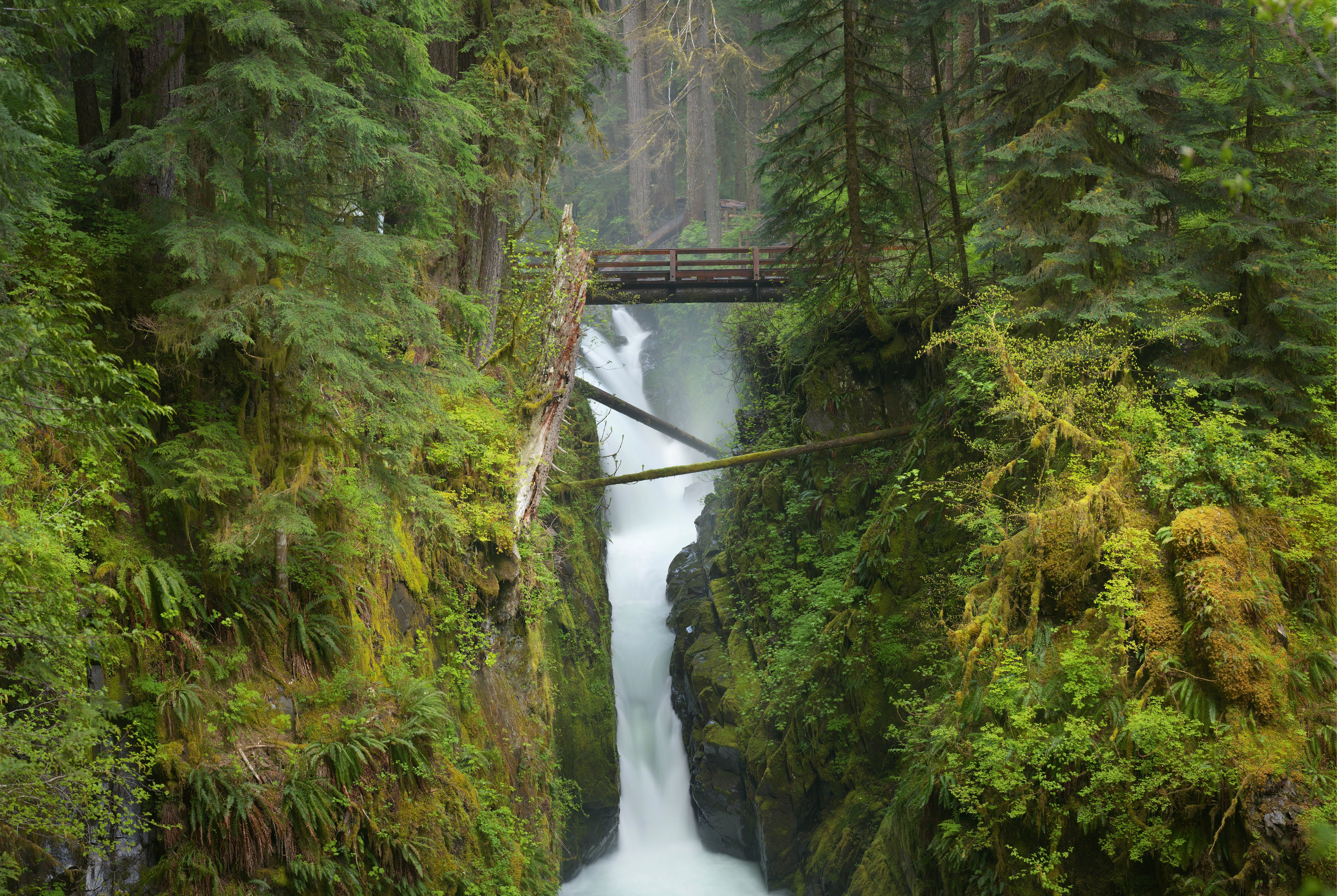 Sol Duc Falls