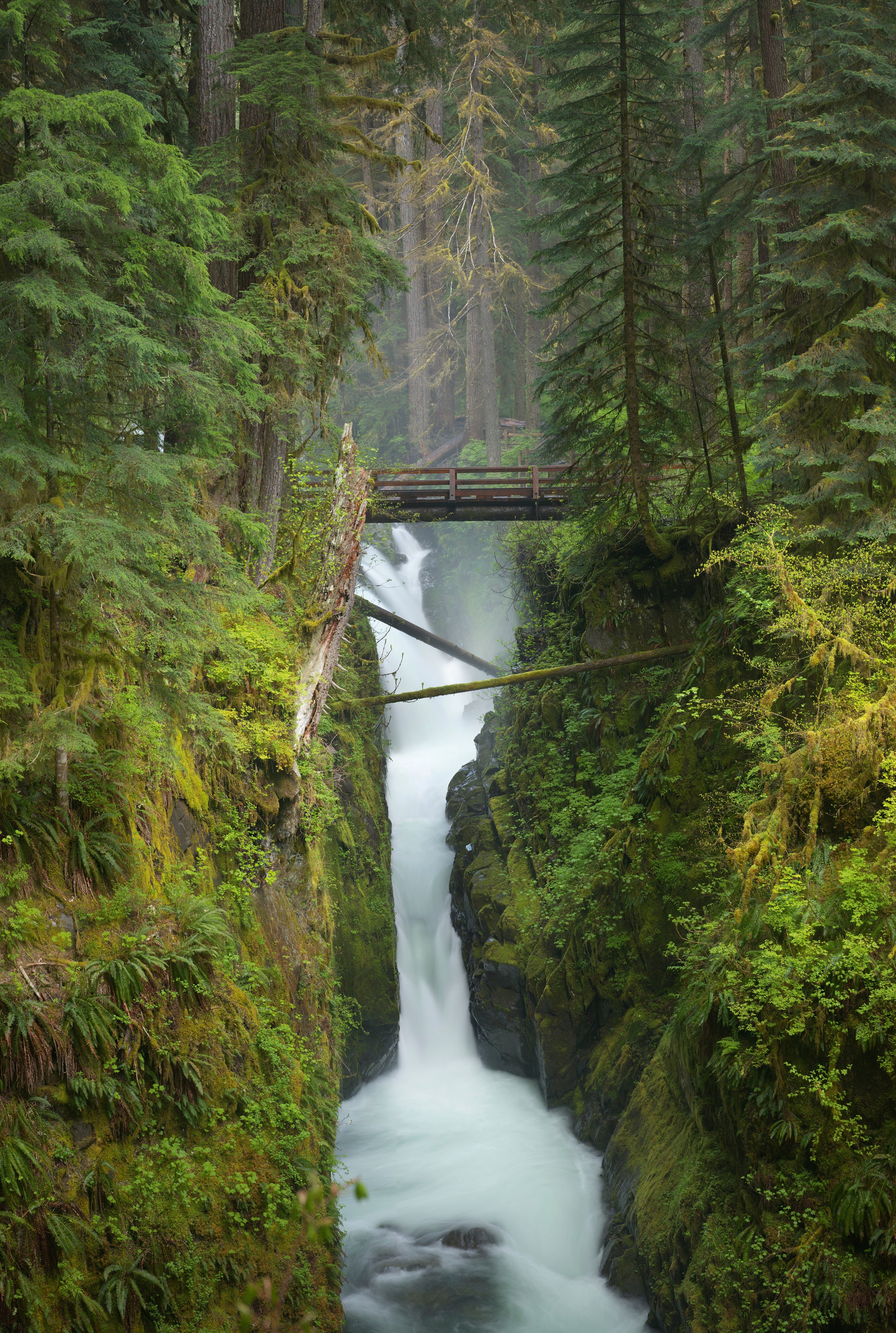 Sol Duc Falls