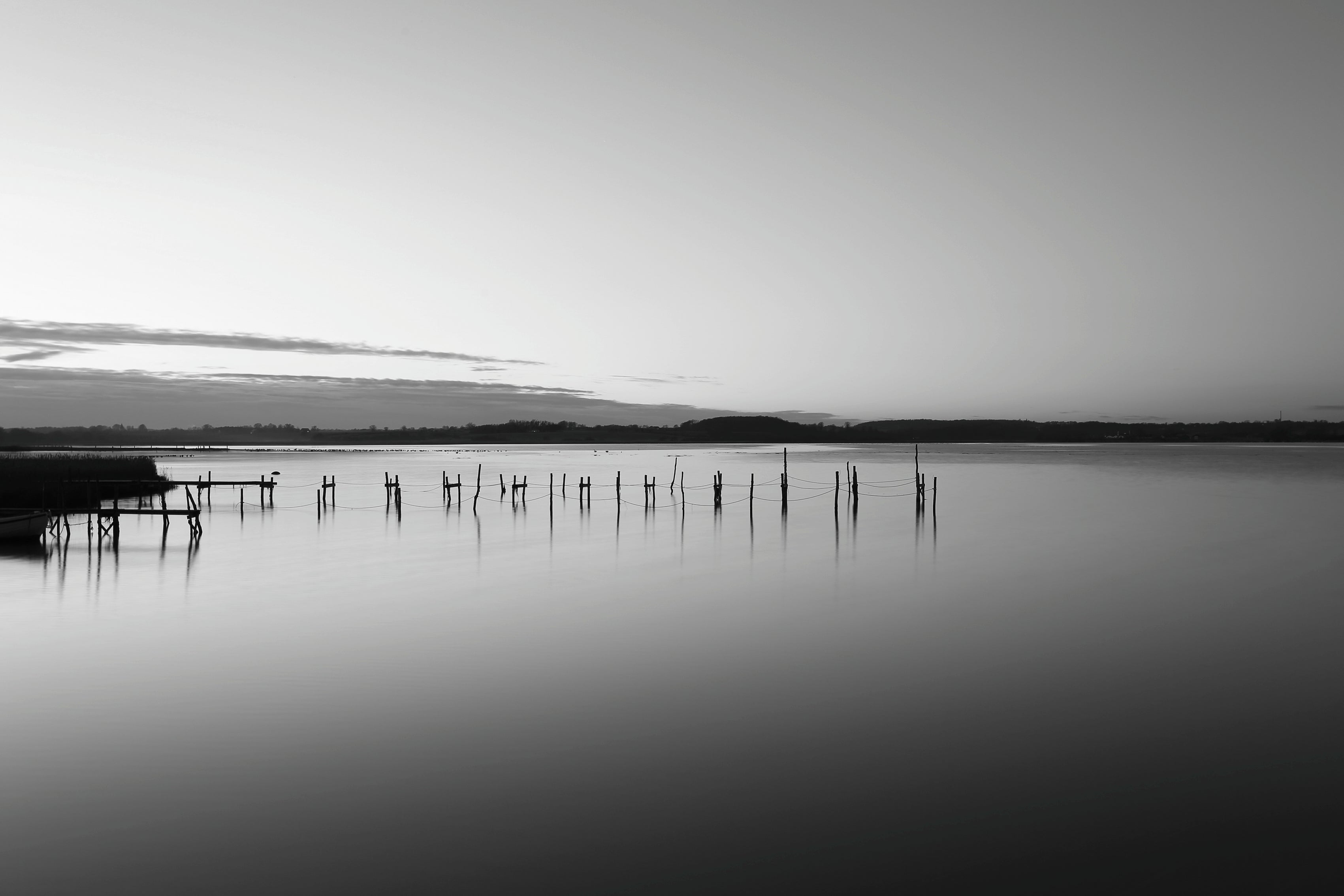 Still-120x80cm.jpg