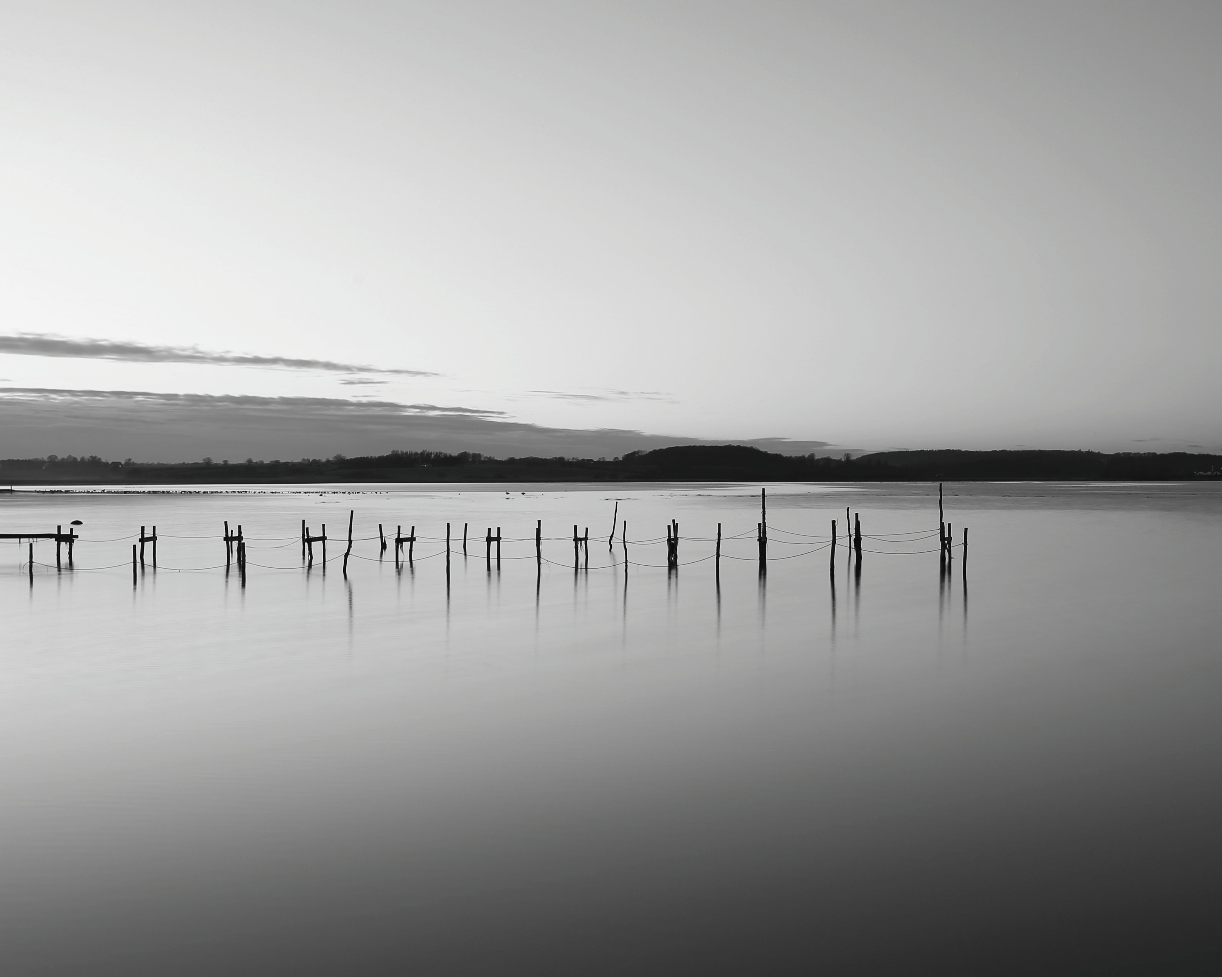 Still-150x150cm.jpg