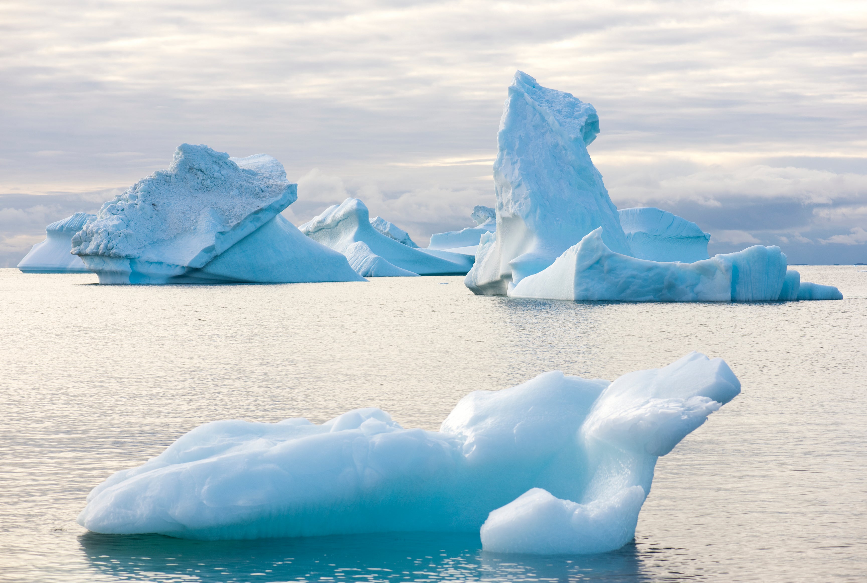 Stillgiants-120x80cm.jpg
