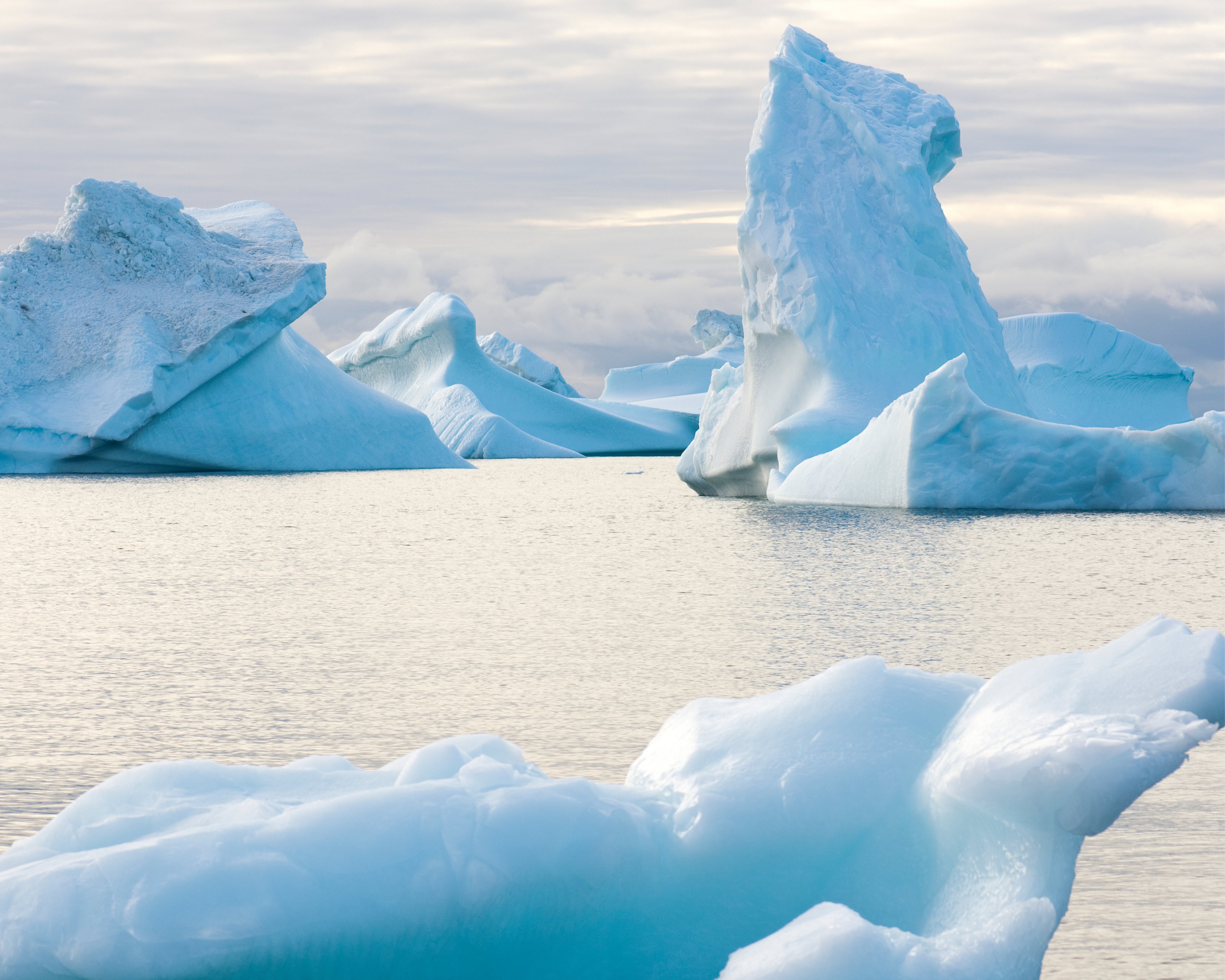 Stillgiants-150x150cm.jpg
