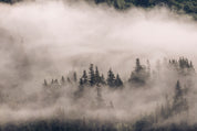 Veil of silence