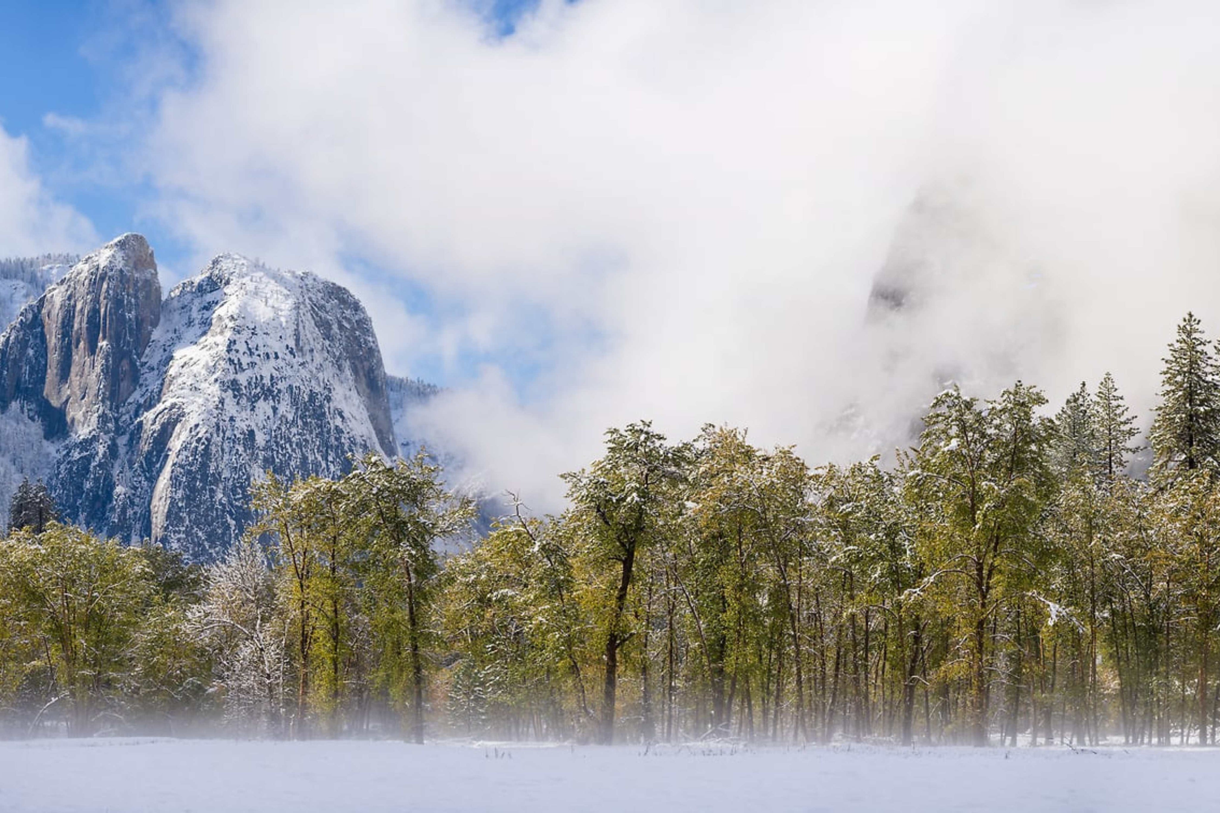 Snow in the meadows