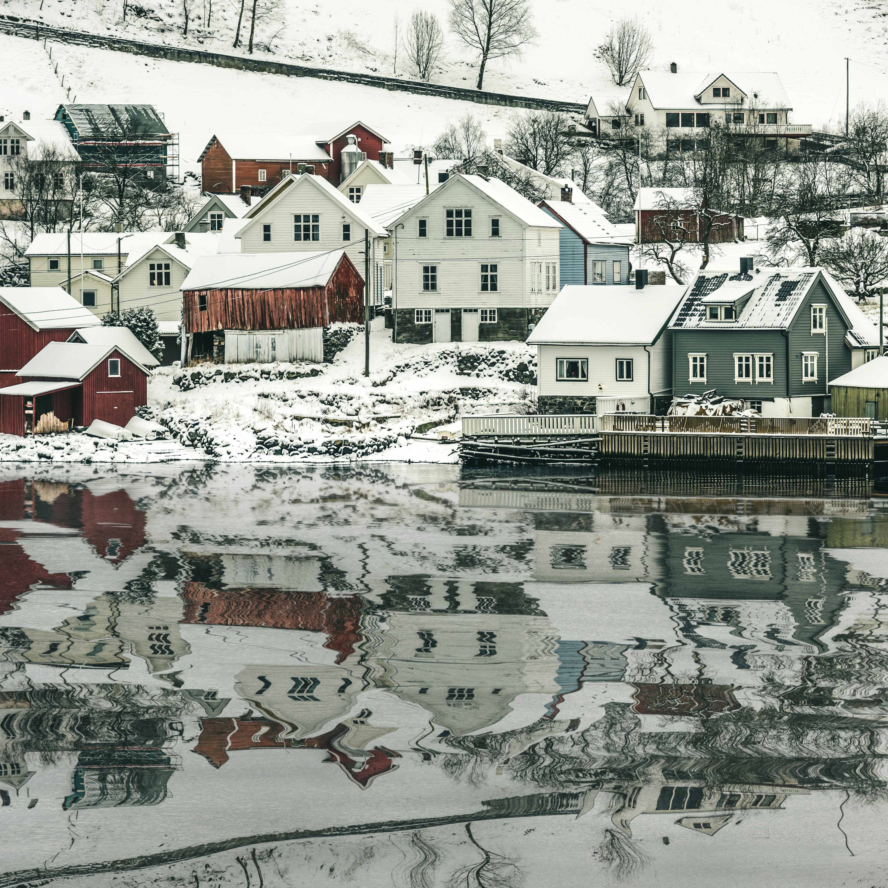 Stillness by the shore