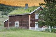 Grass-topped home