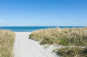 Through the dunes