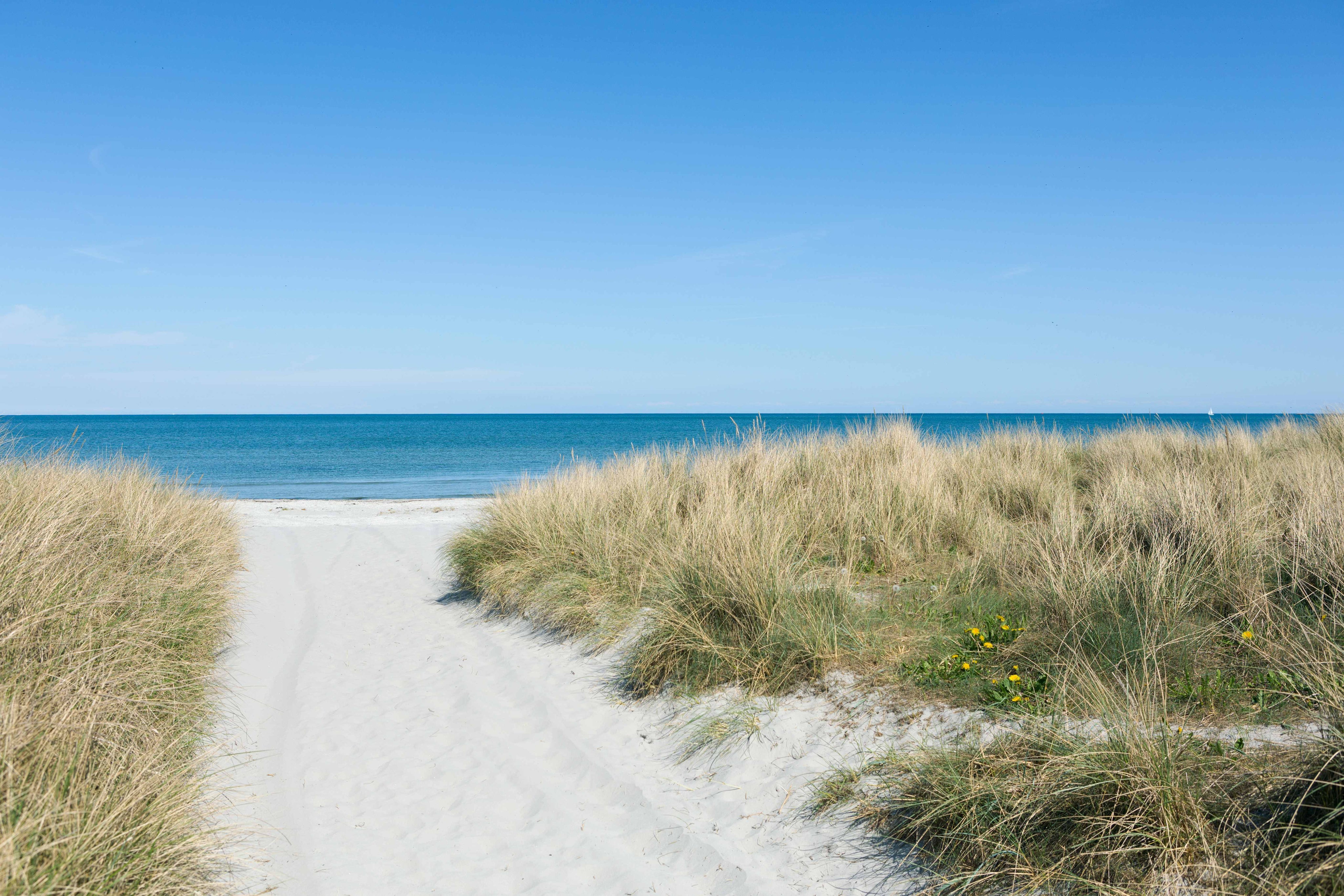 Through the dunes