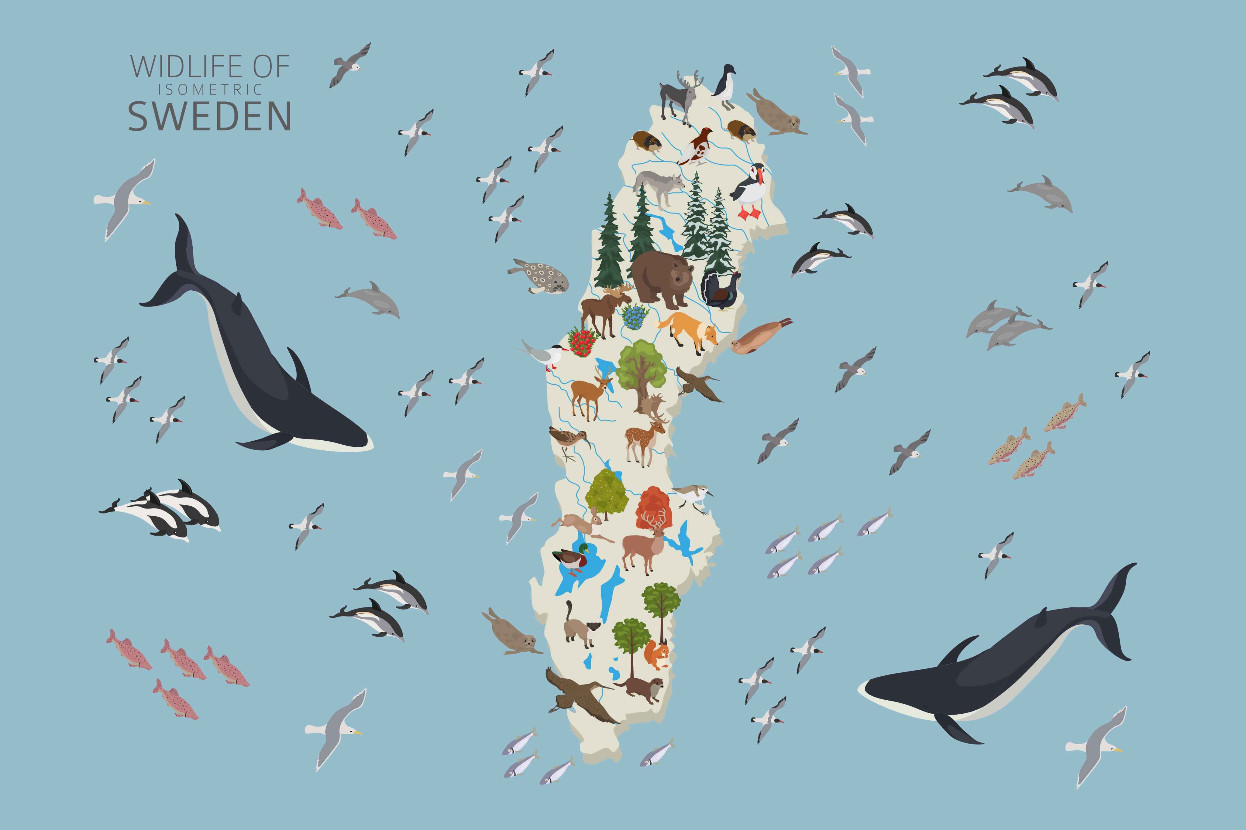 Wildlife of isometric Sweden