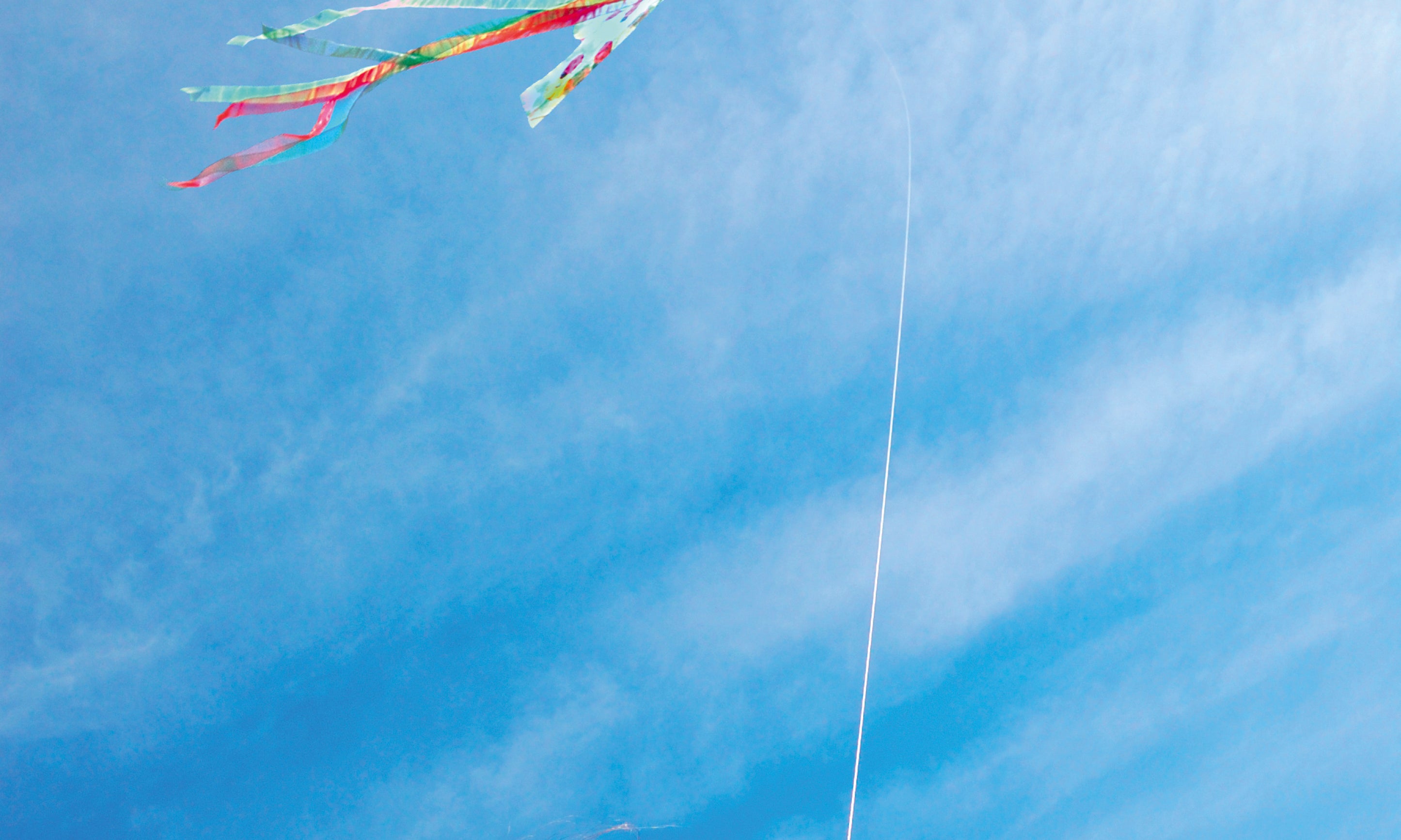 Aboveall-100x150cm.jpg