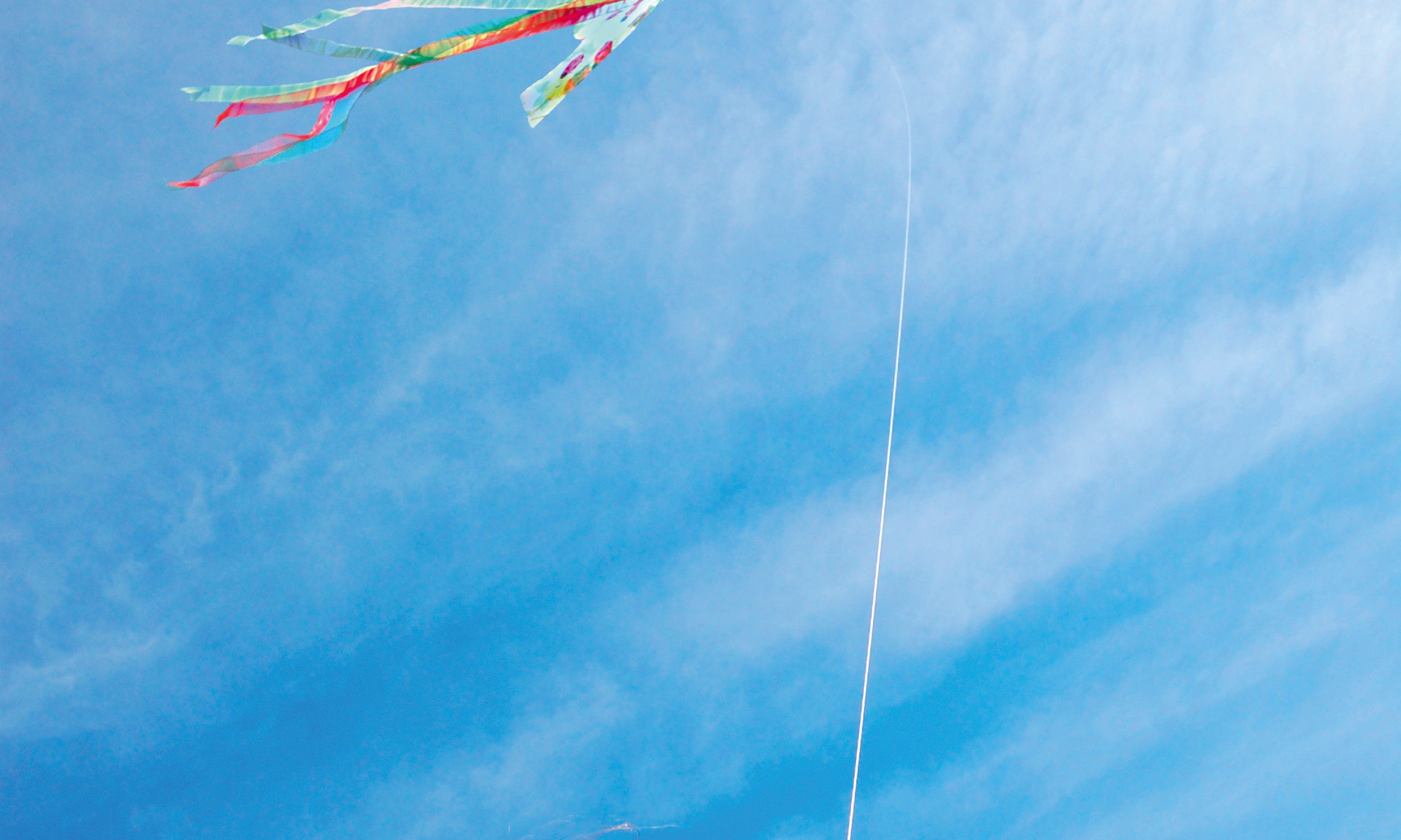 Aboveall-80x120cm.jpg
