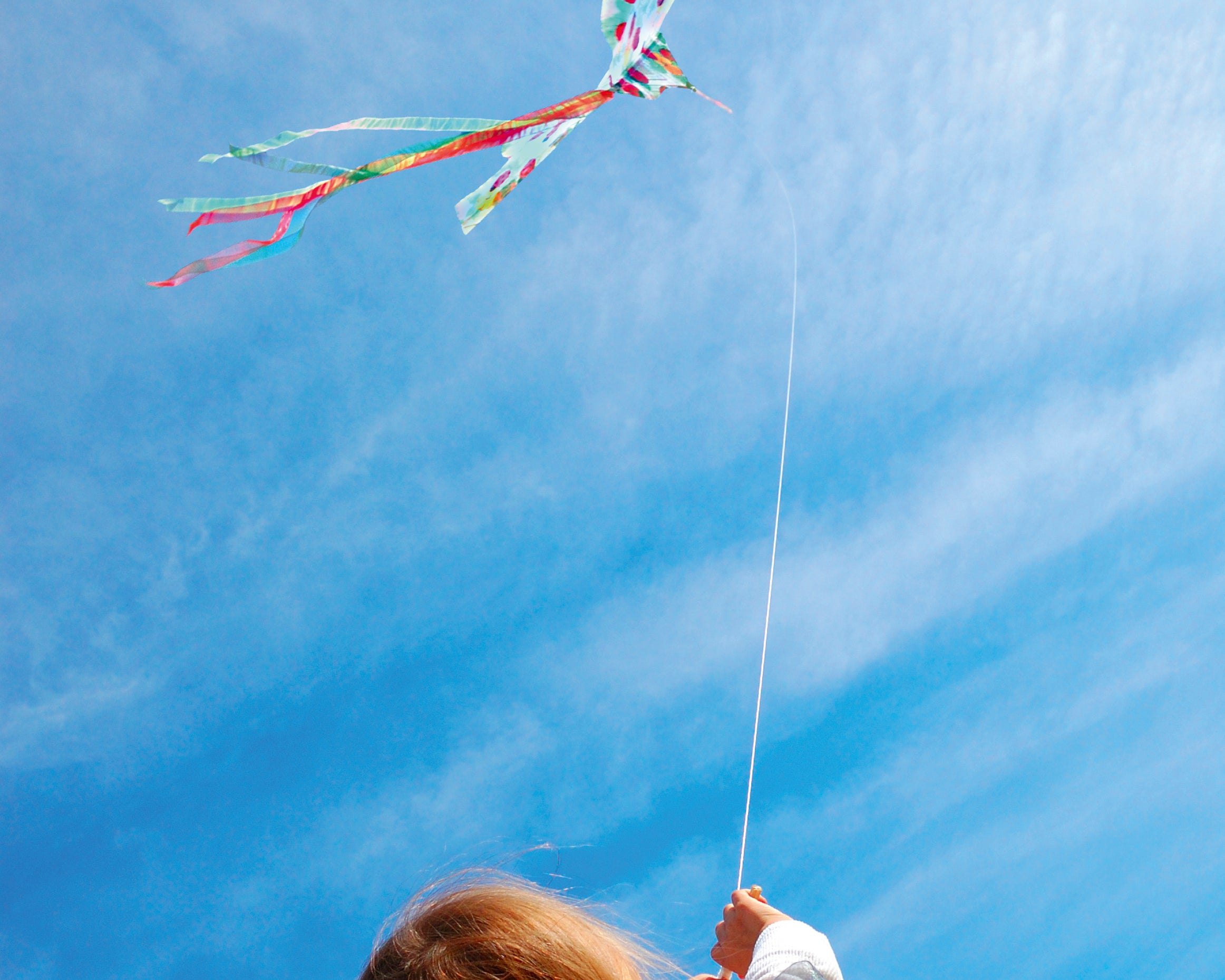 Aboveall-80x120cm.jpg