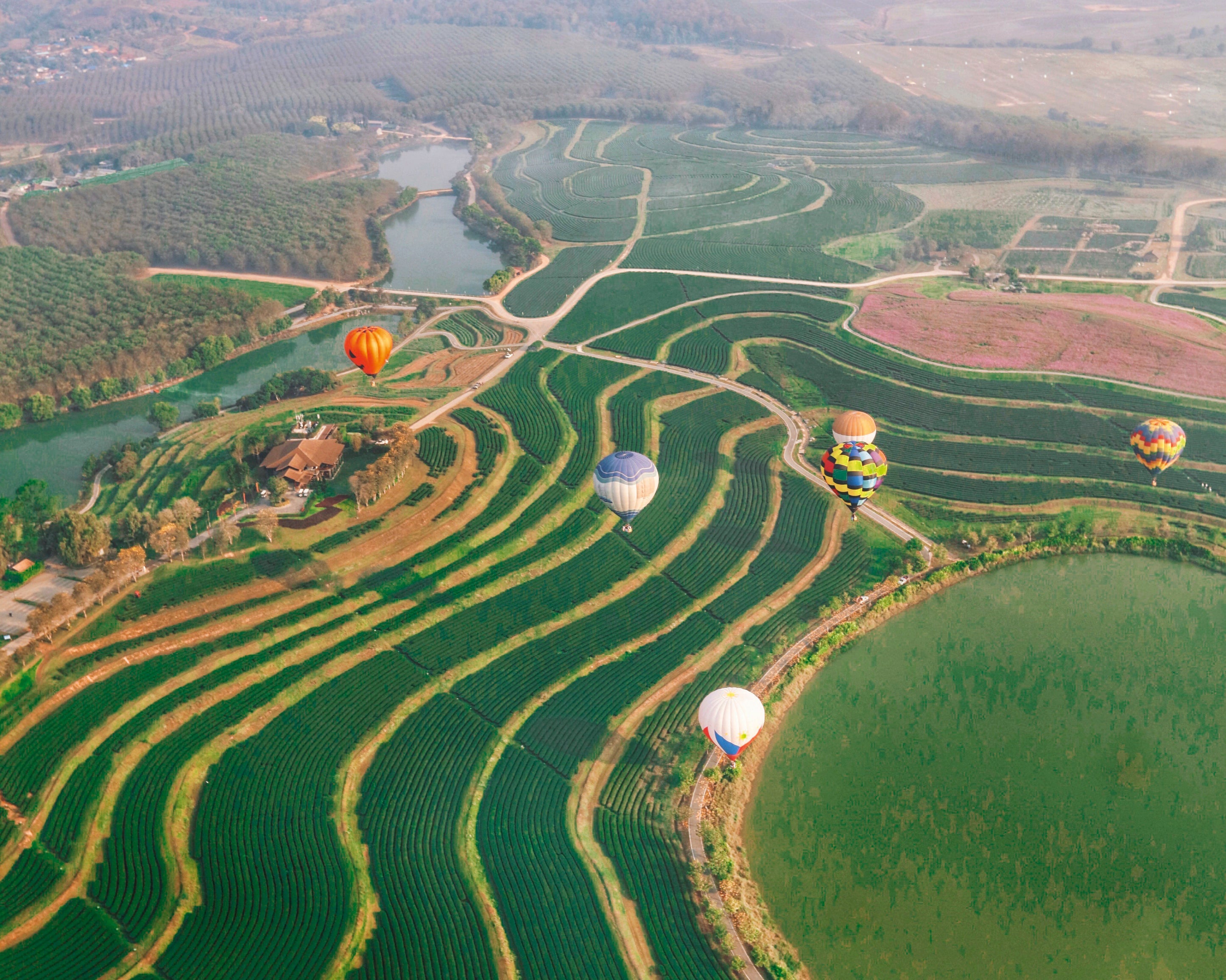 Abovethegreen-100x150cm.jpg