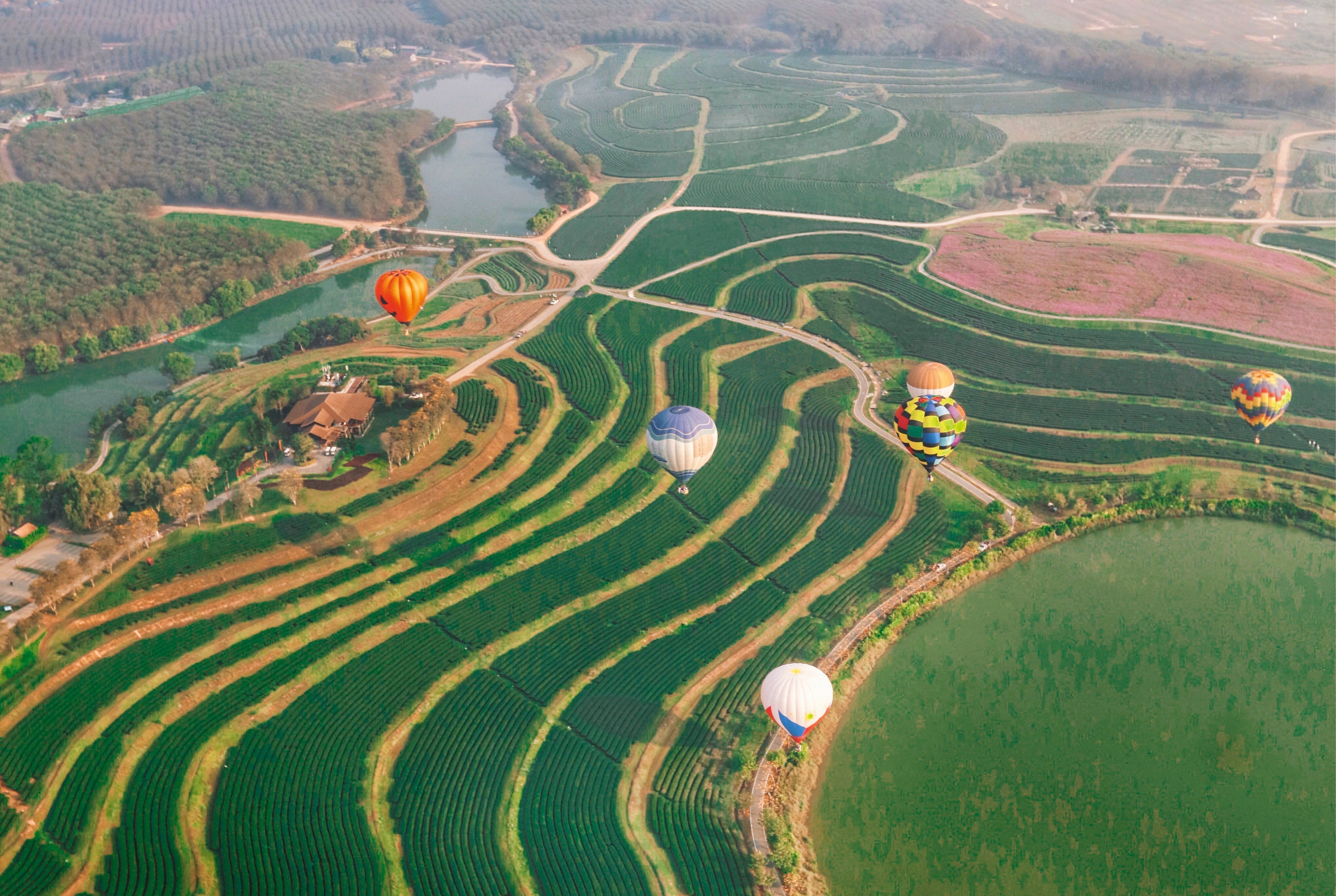 Above the green