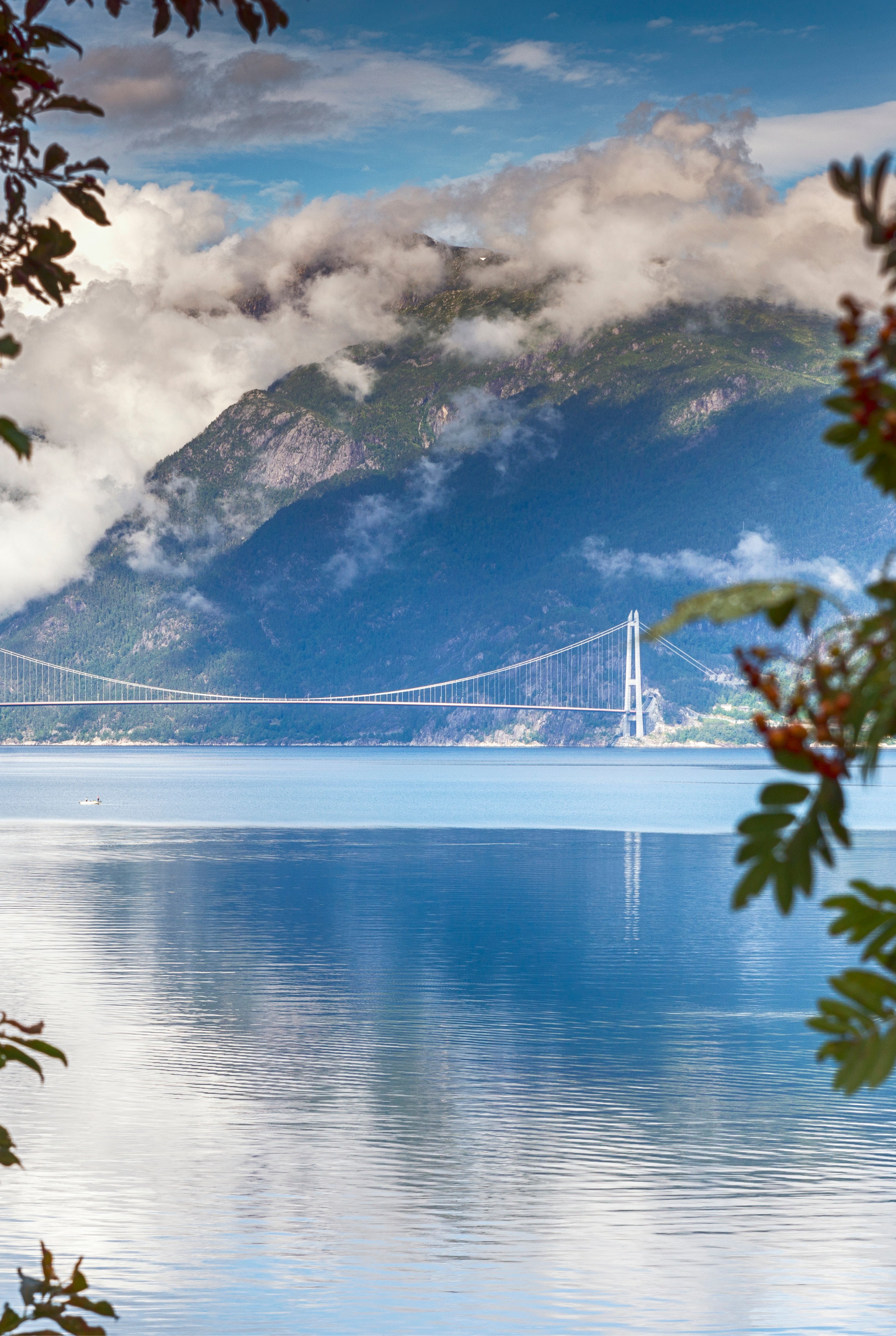 A bridge afar