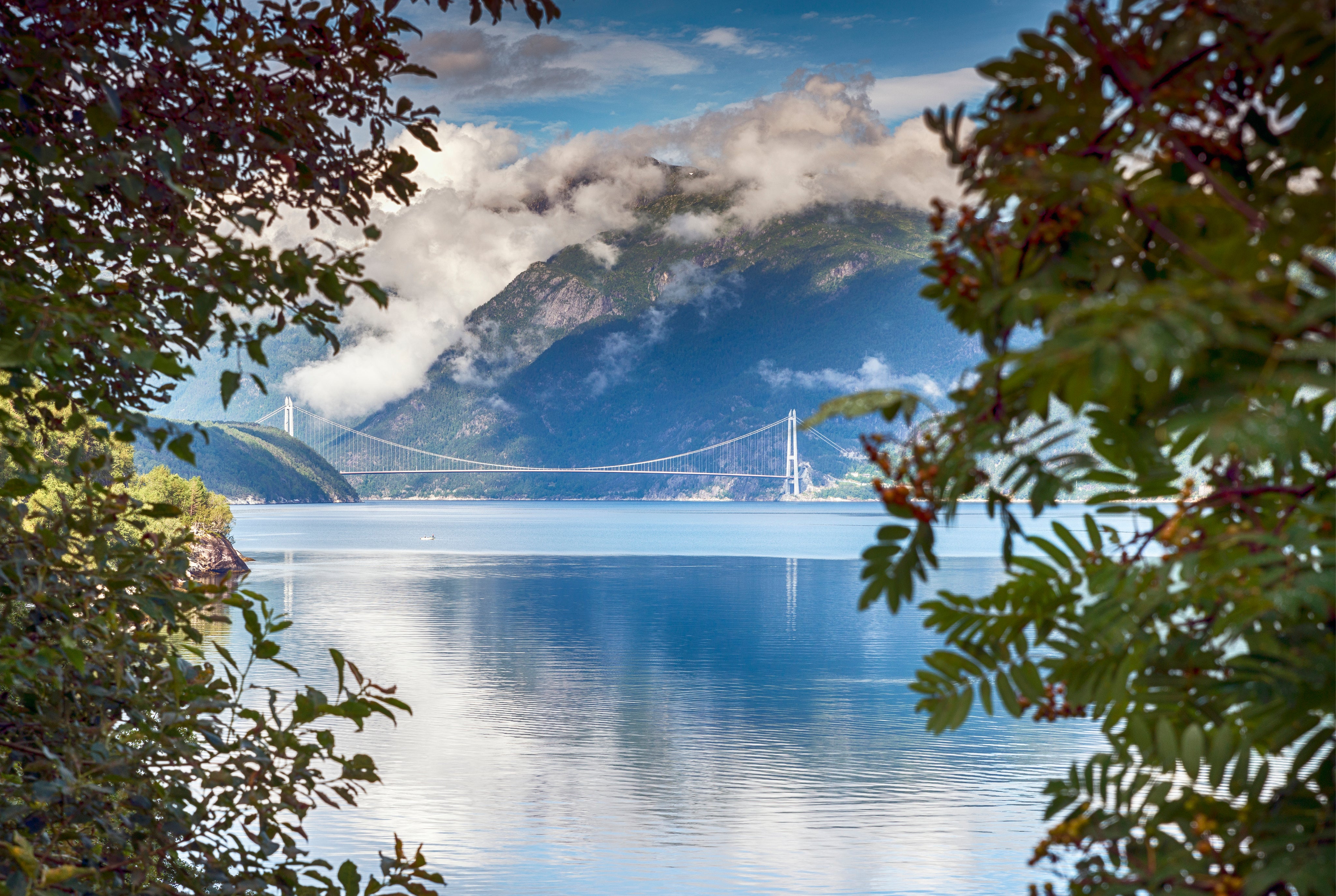 A bridge afar