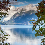 A bridge afar