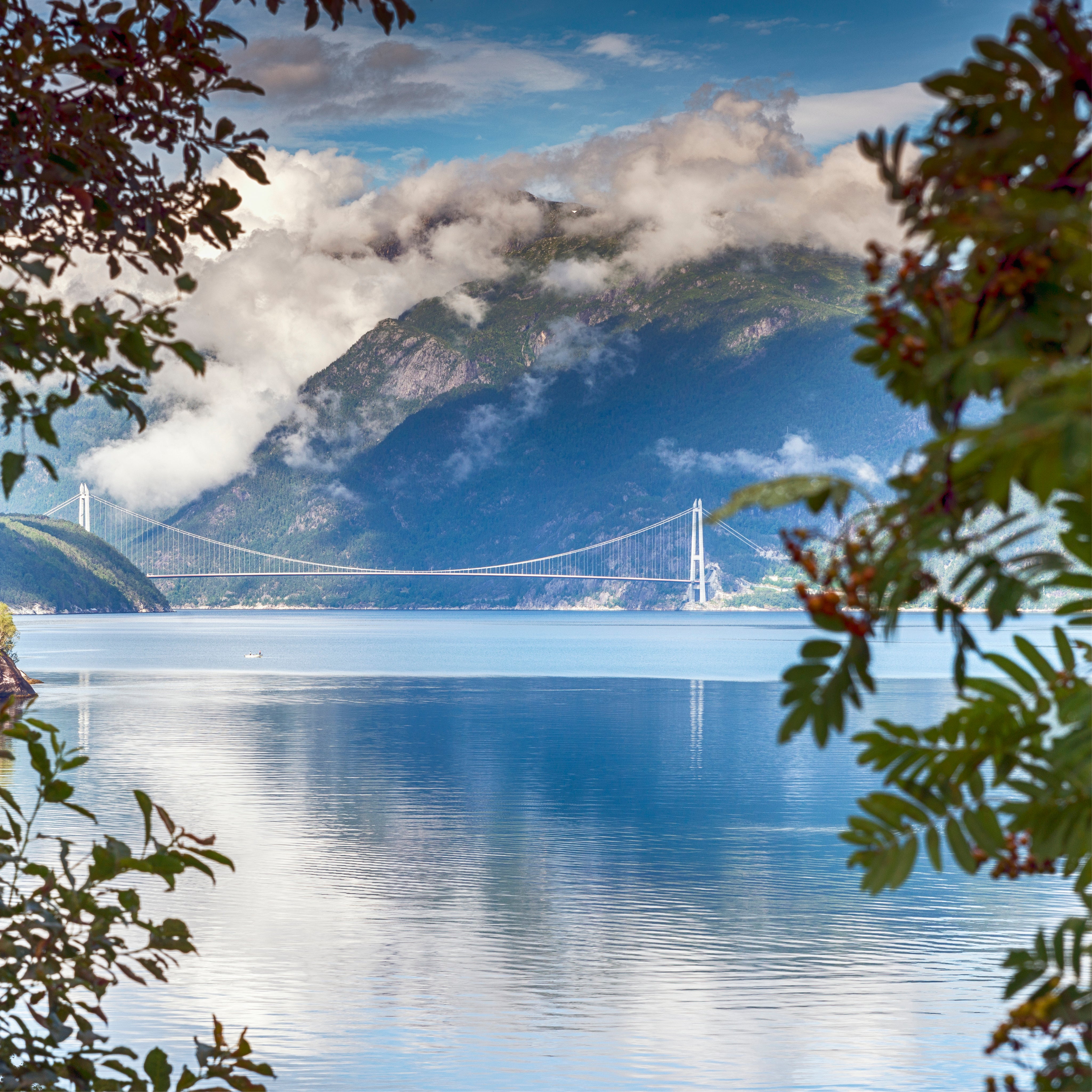 A bridge afar