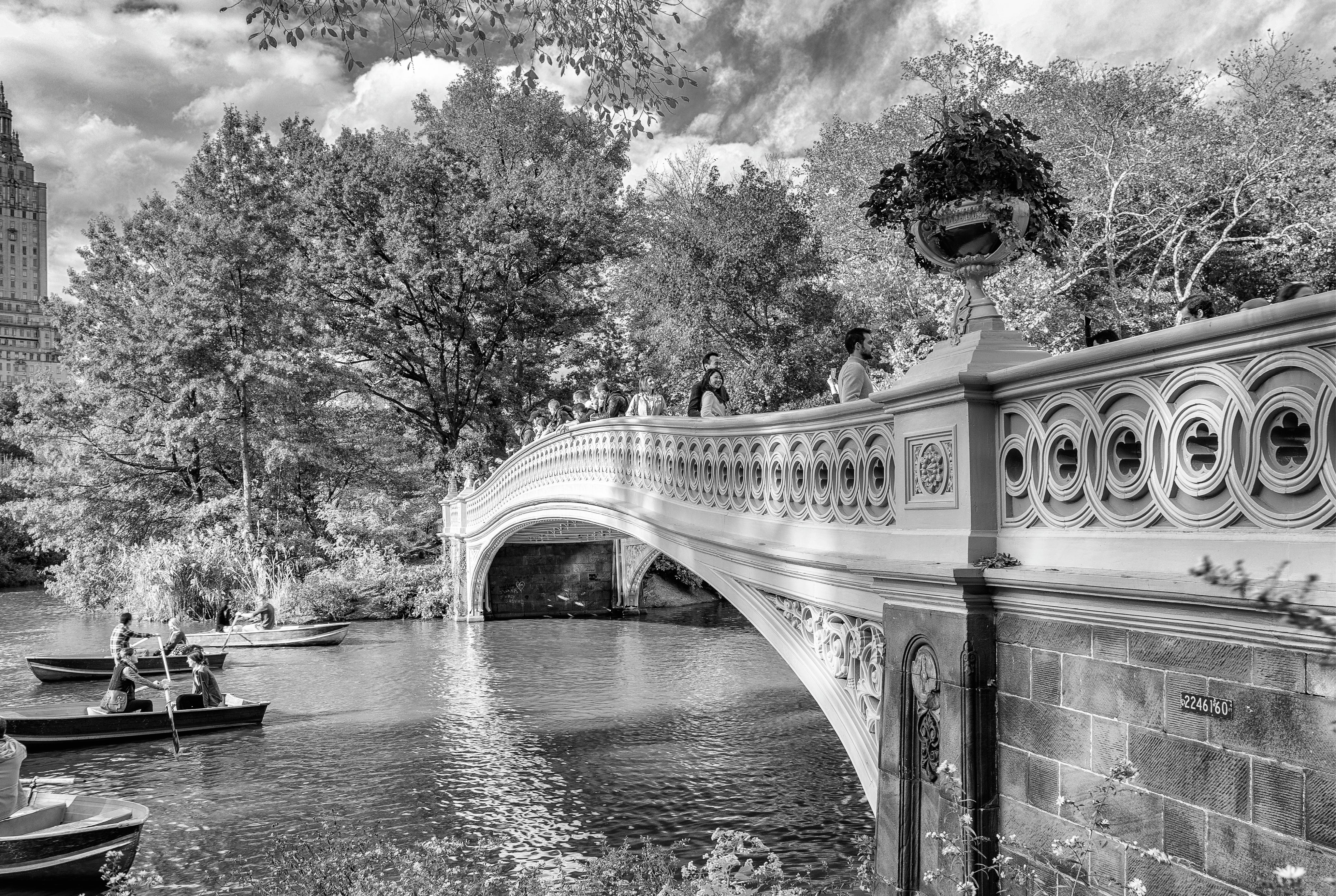 A bridge to tranquility