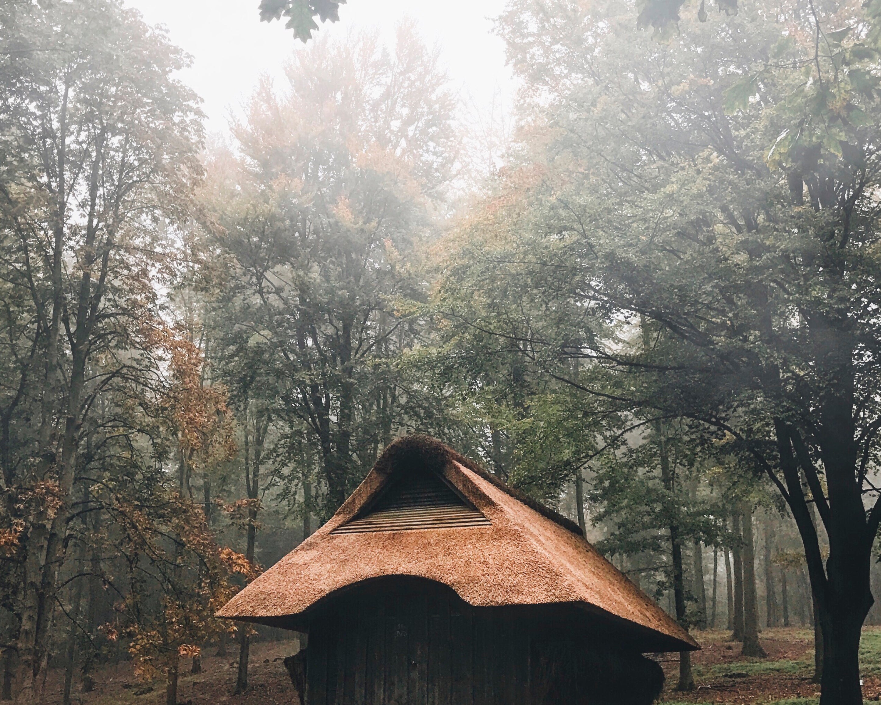 Adventurer_sabode-100x150cm.jpg