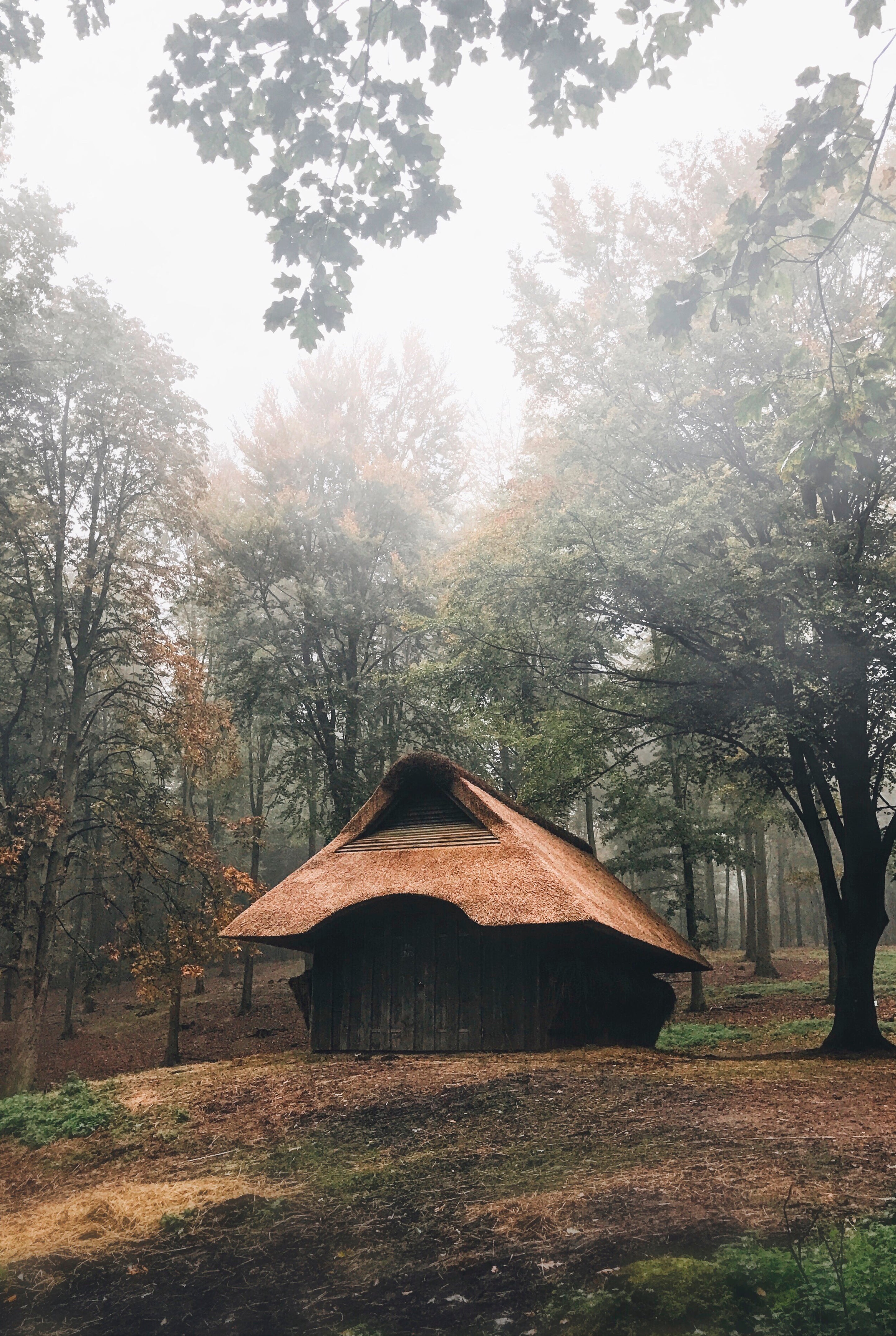 Adventurer’s abode