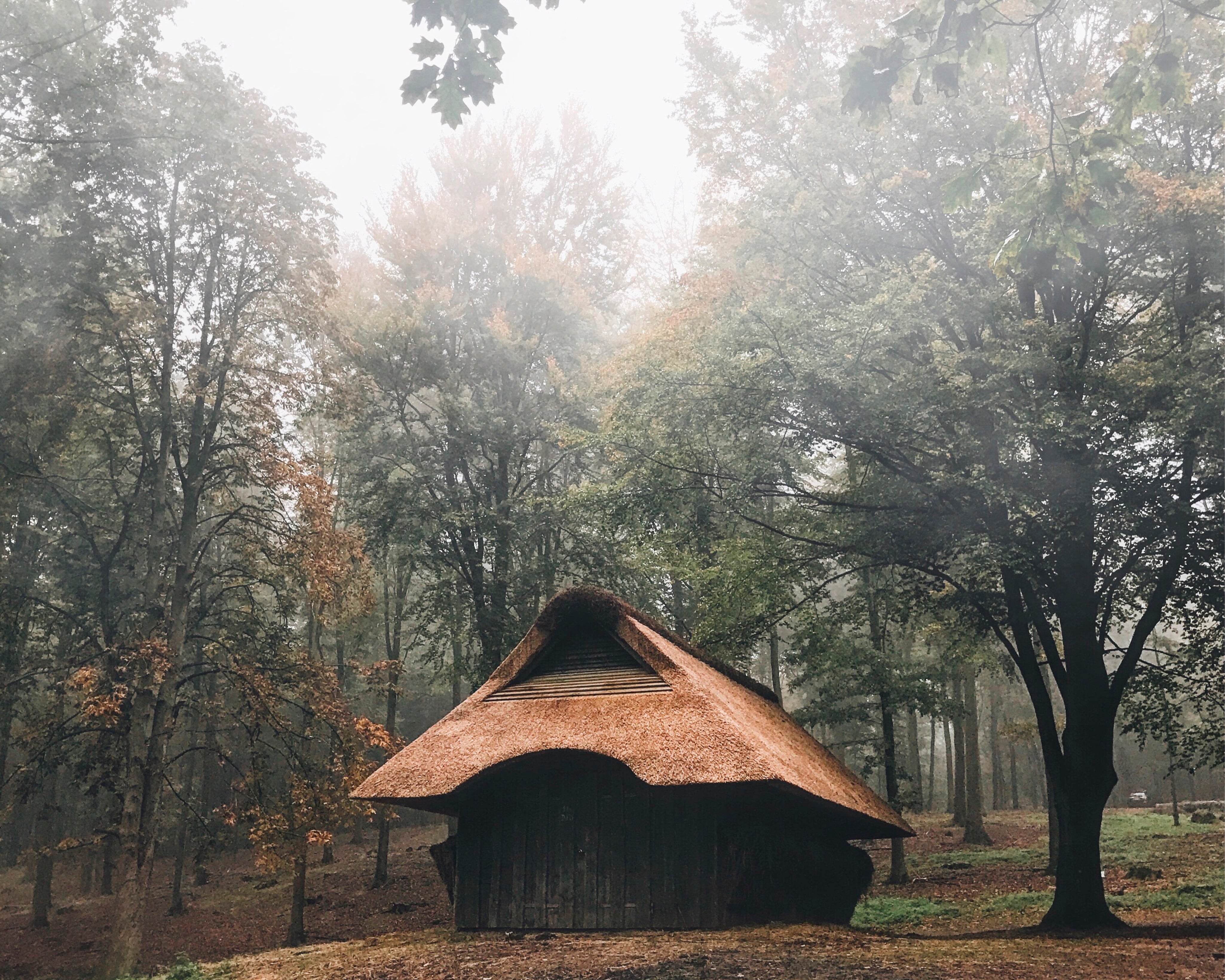 Adventurer_sabode-150x150cm.jpg