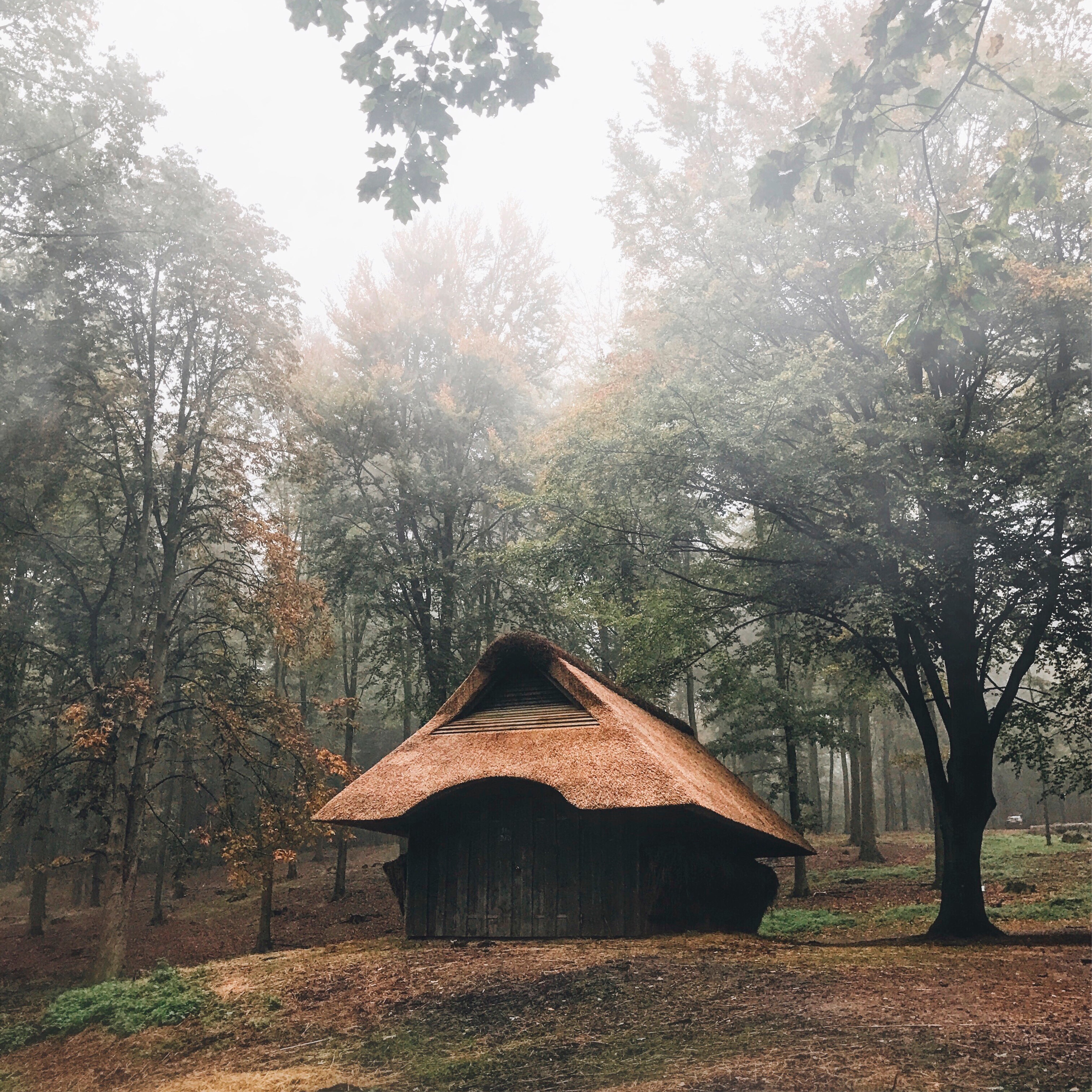 Adventurer’s abode
