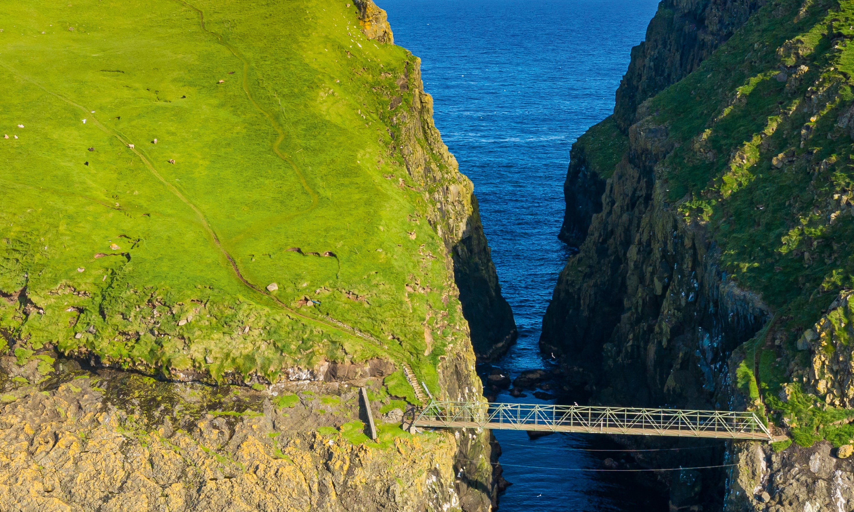 Aerialbridge-100x150cm.jpg