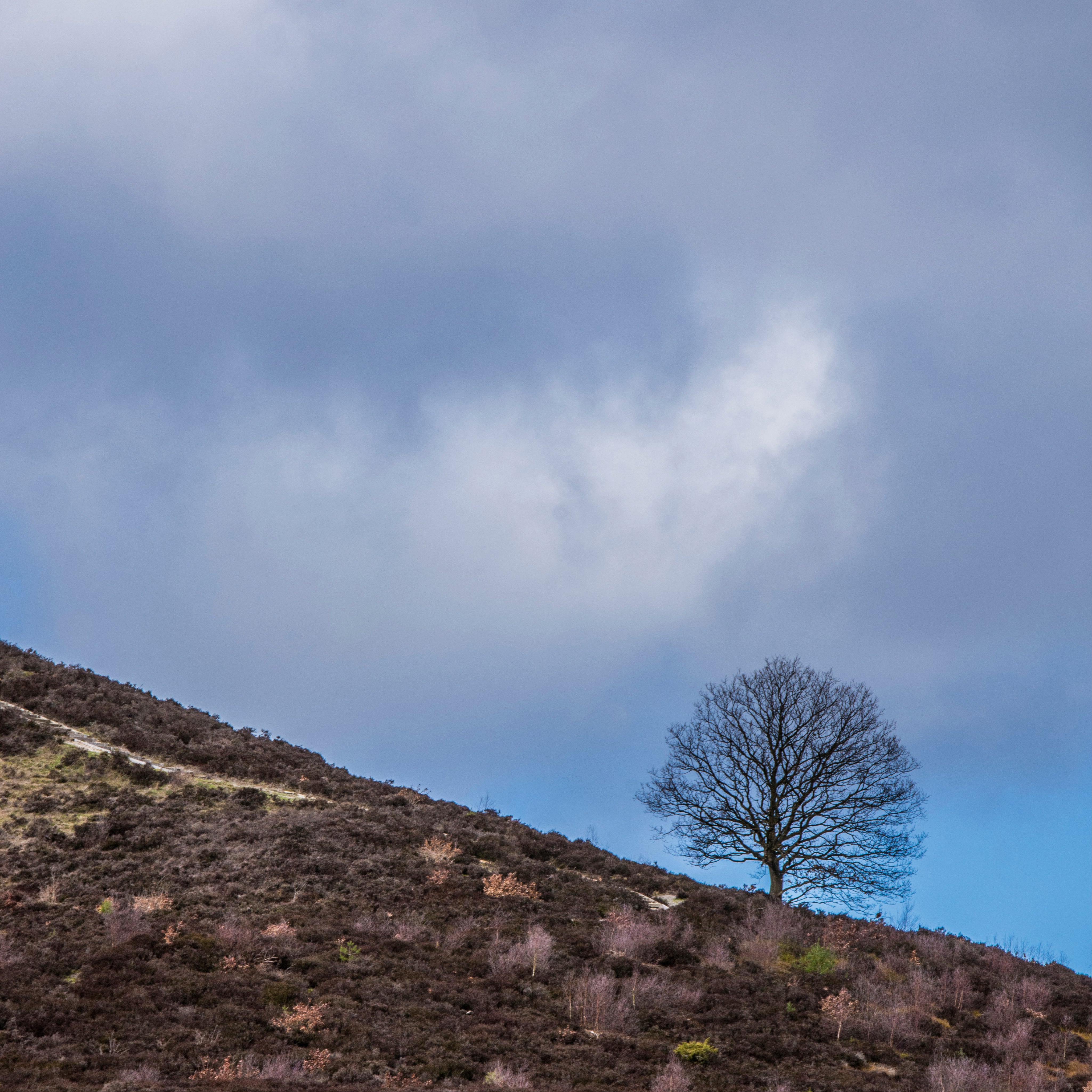 Against the sky