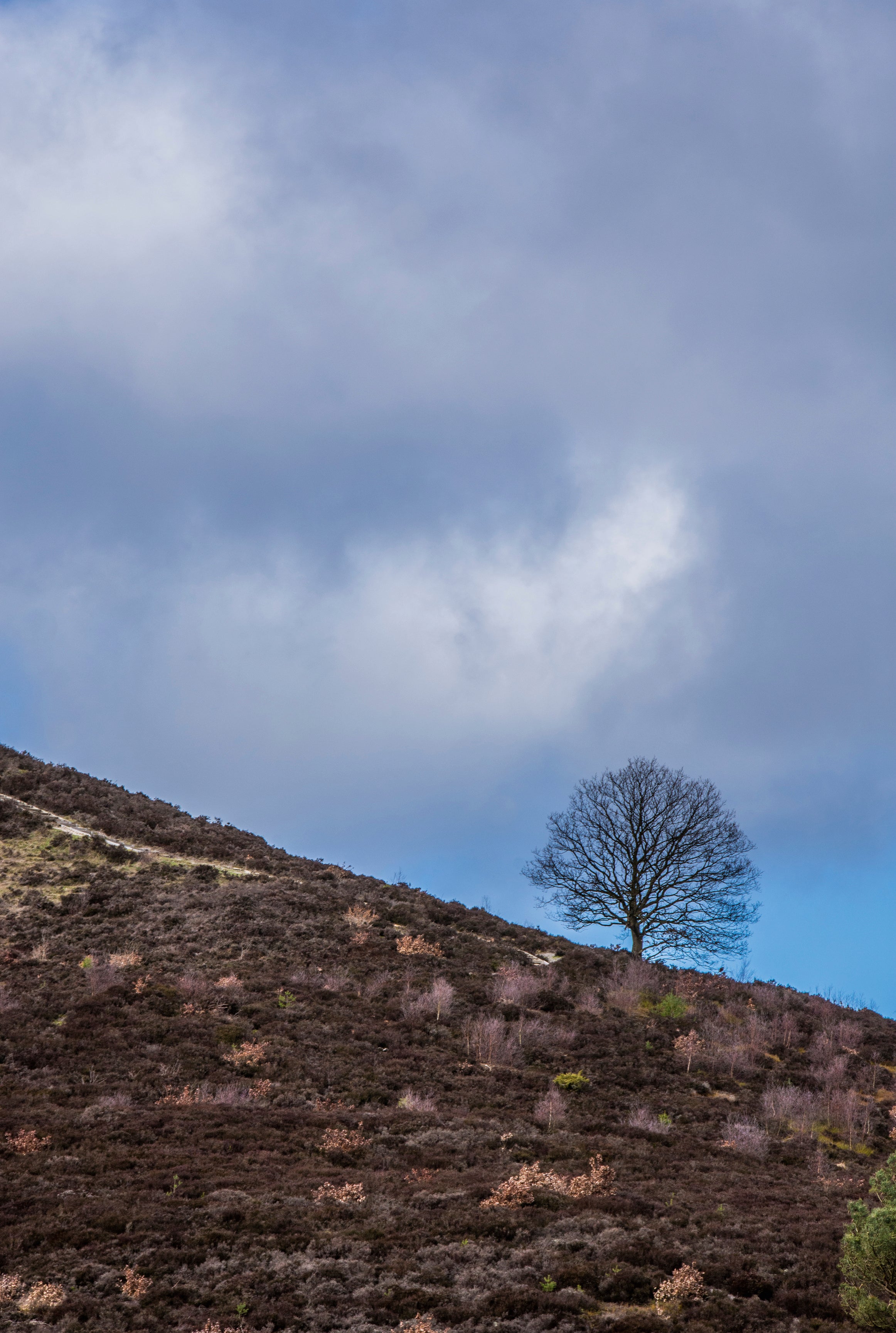 Against the sky